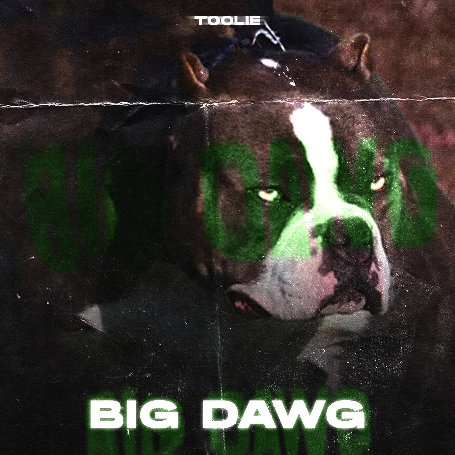 Постер альбома Big Dawg