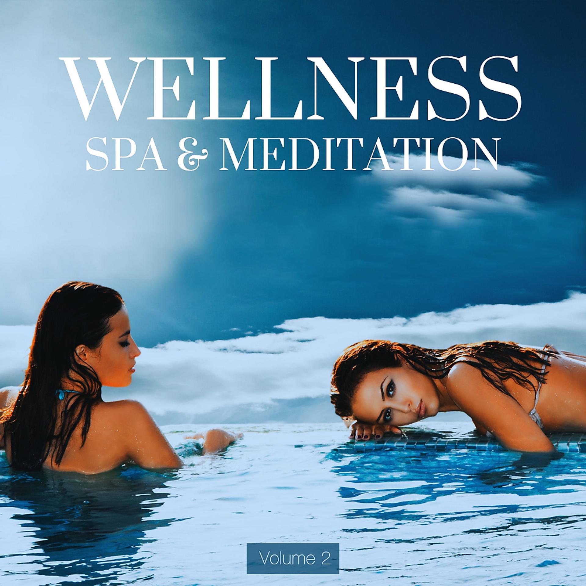 Постер альбома Wellness, Spa & Meditation, Vol. 2