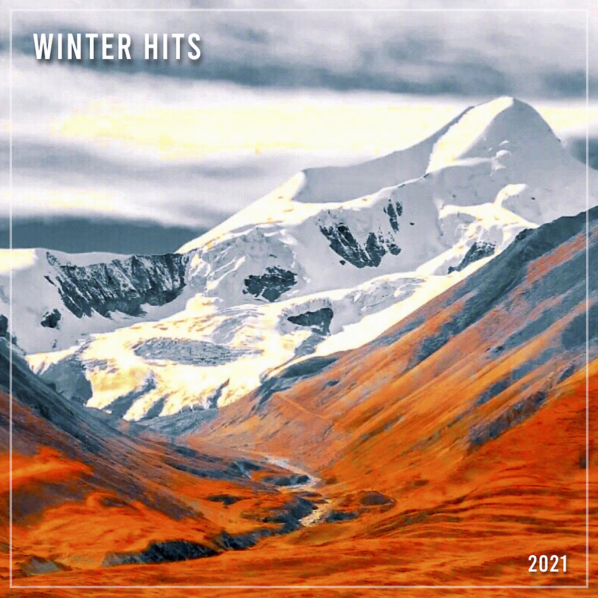 Постер альбома Winter Hits 2021