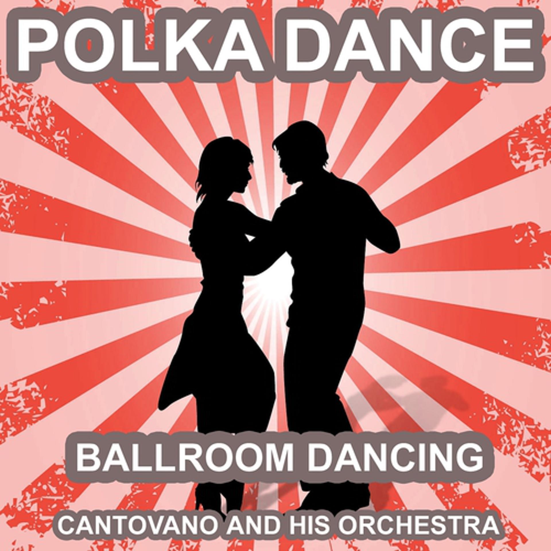 Постер альбома Polka Dance