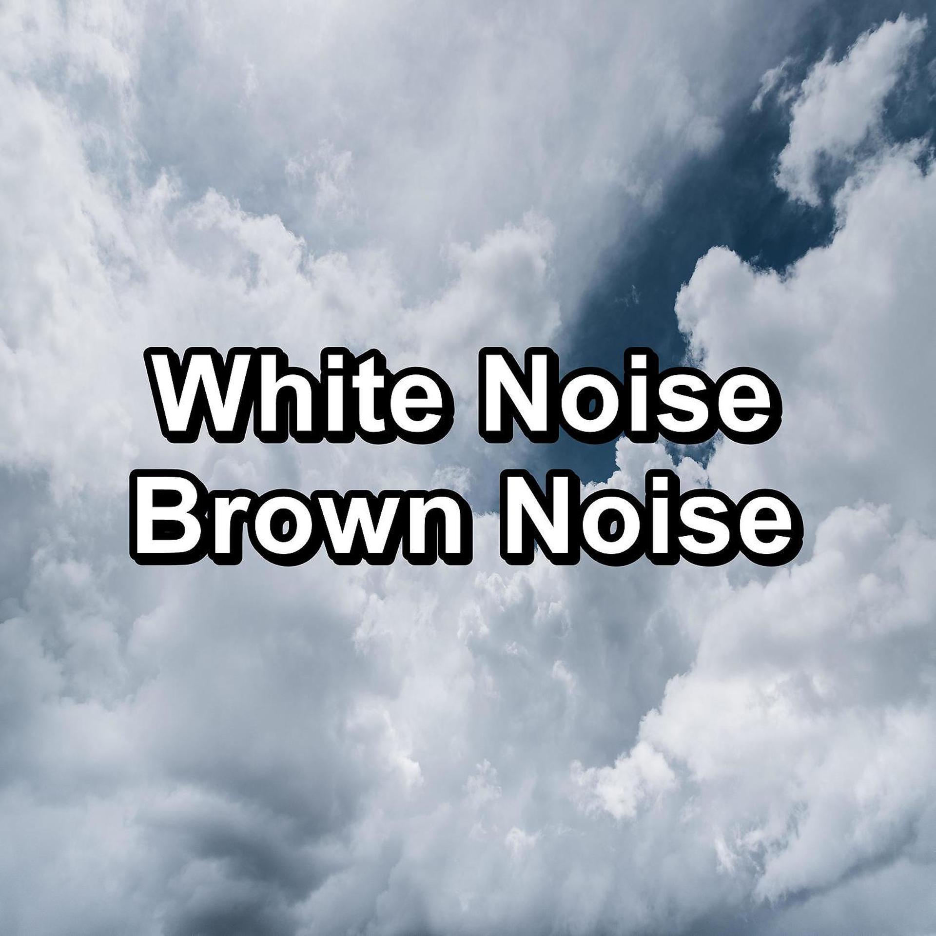 Постер альбома White Noise Brown Noise