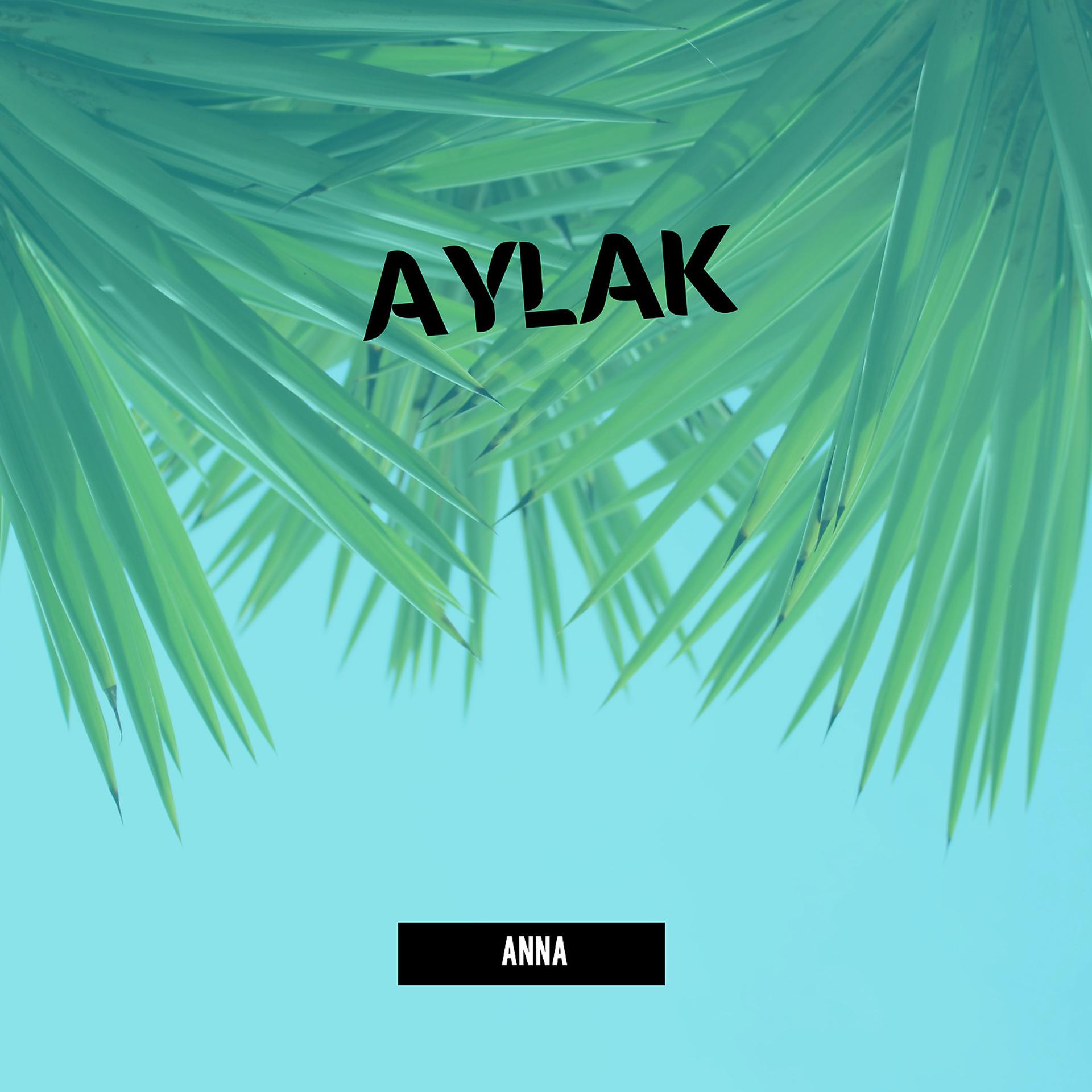Постер альбома Aylak