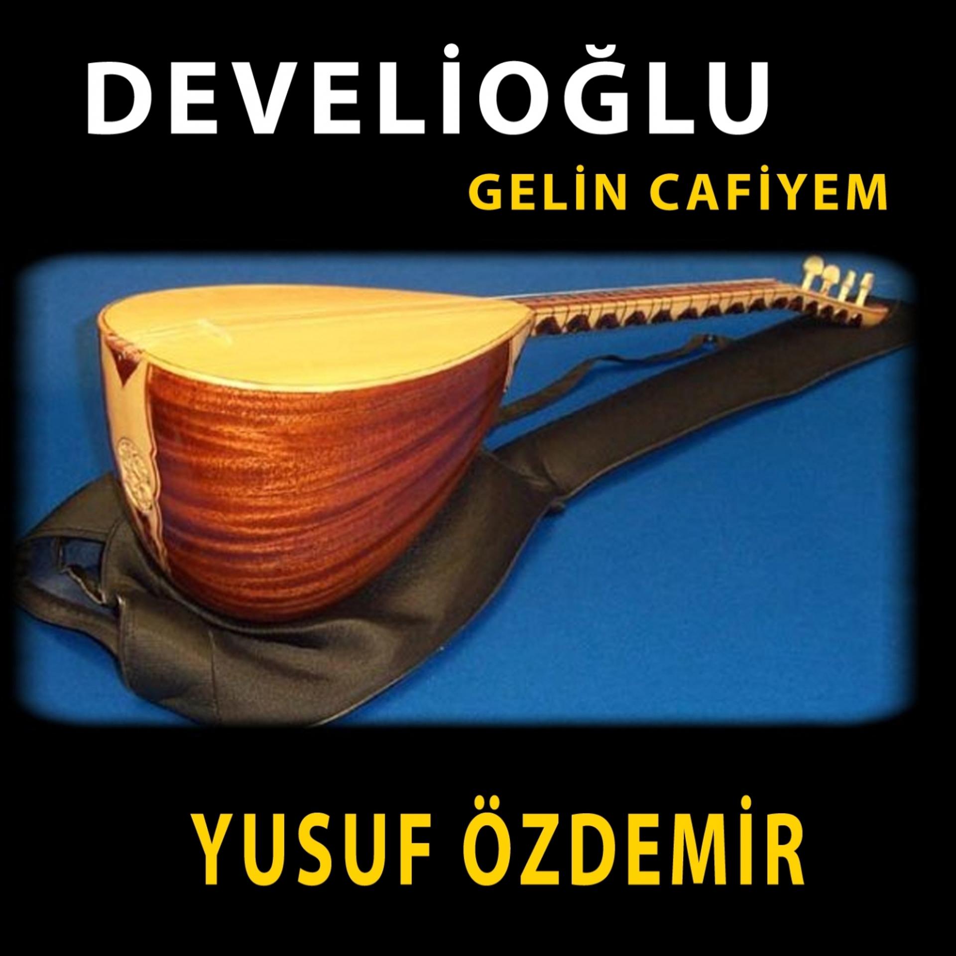 Постер альбома Develioğlu / Gelin Cafiyem