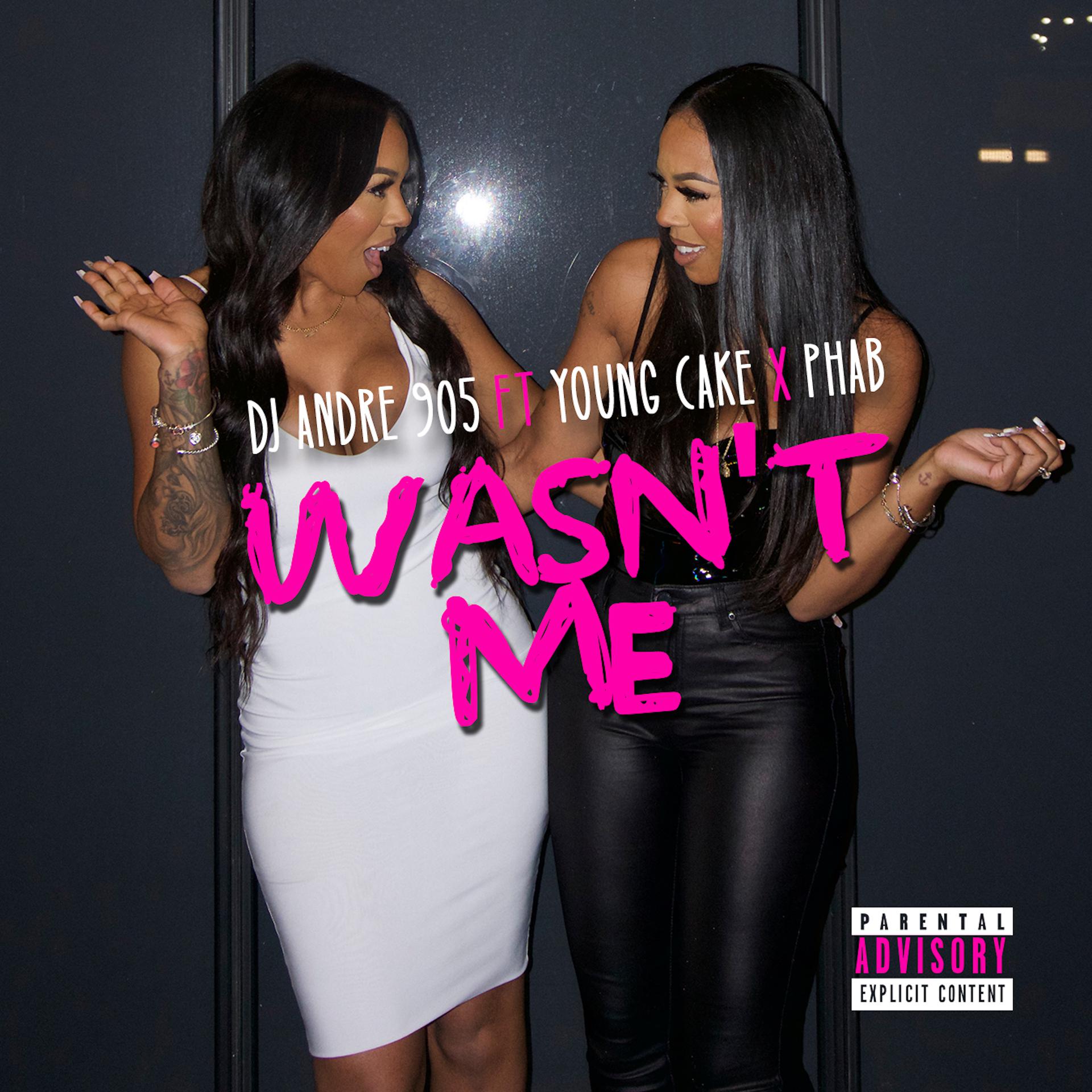 Постер альбома Wasn't Me (feat. Young Cake & Phab)