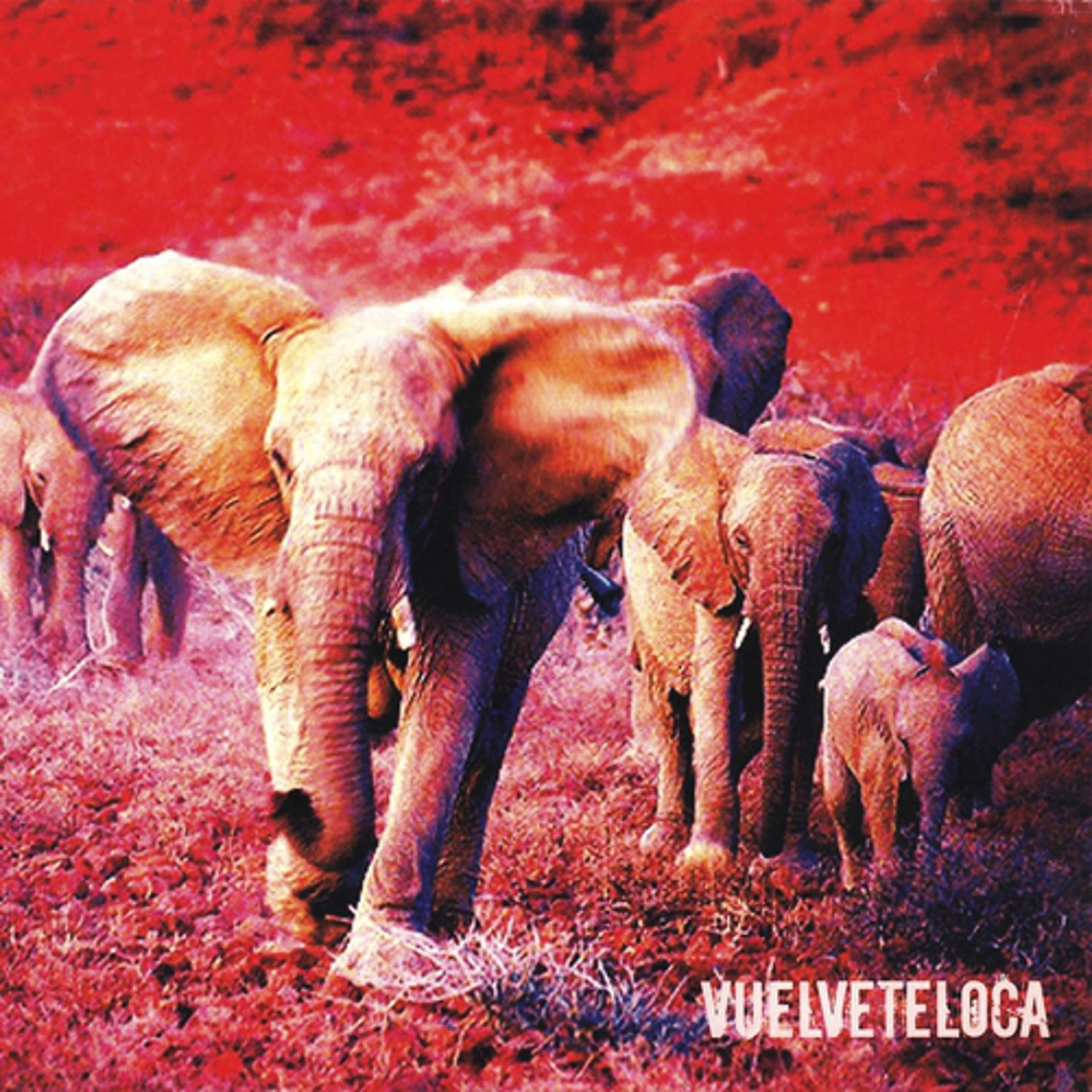Постер альбома Vuelveteloca