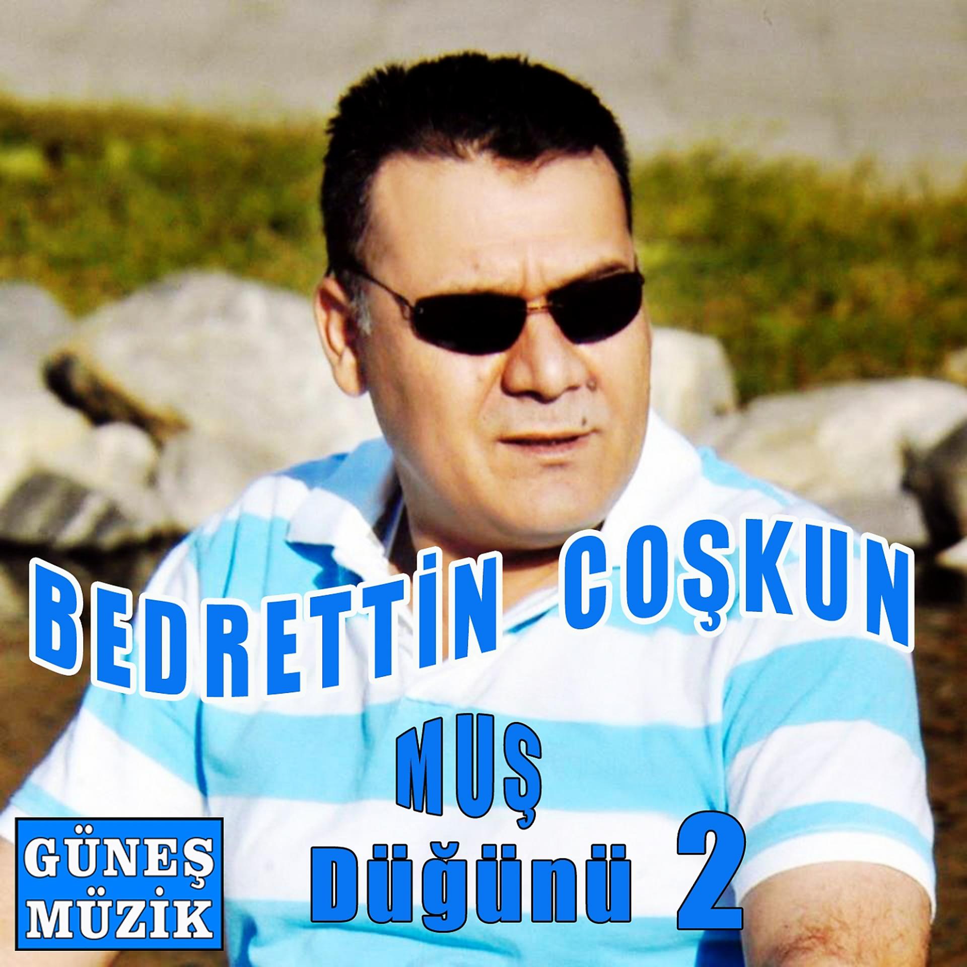 Постер альбома Muş Düğünü, Vol. 2
