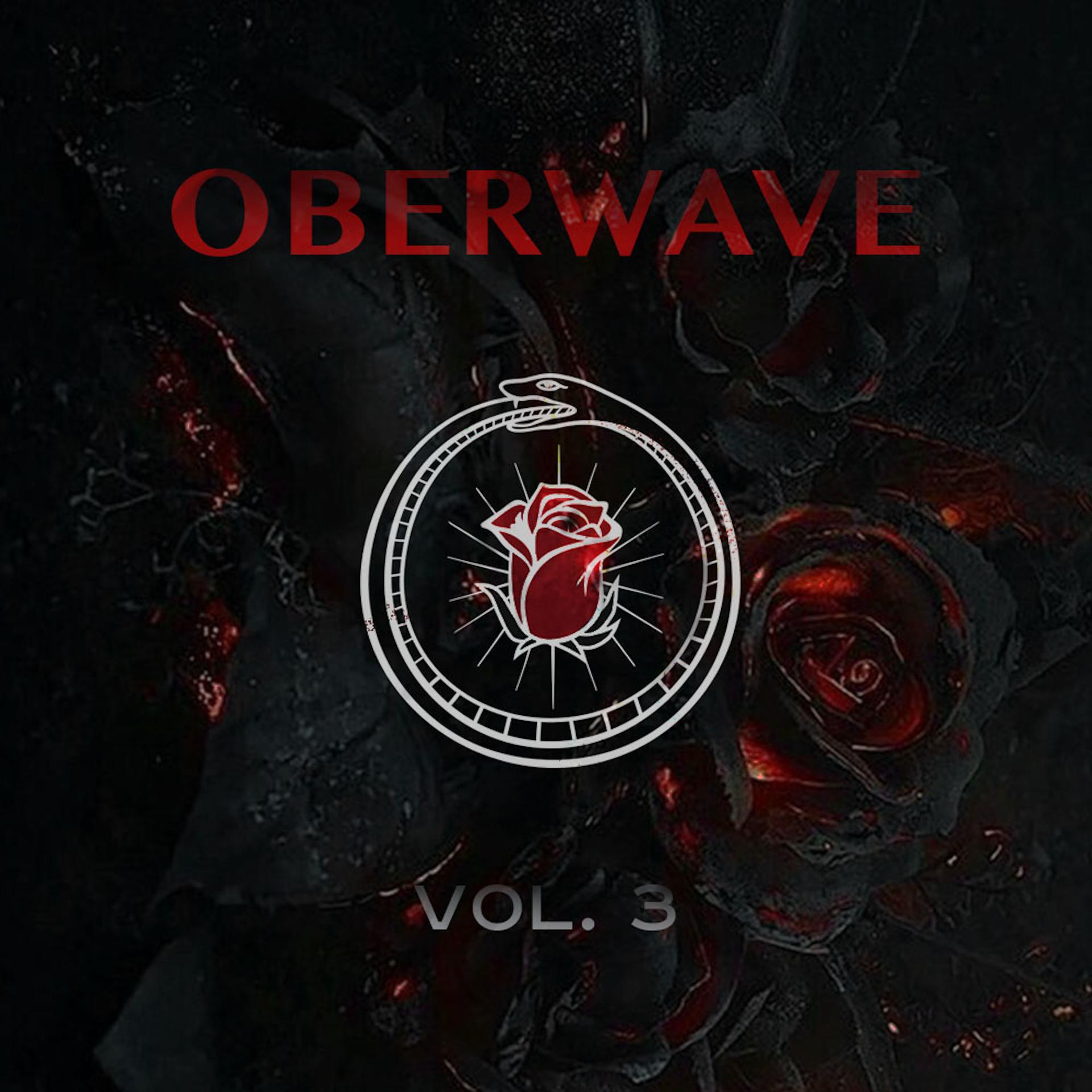 Постер альбома Oberwave Vol. 3
