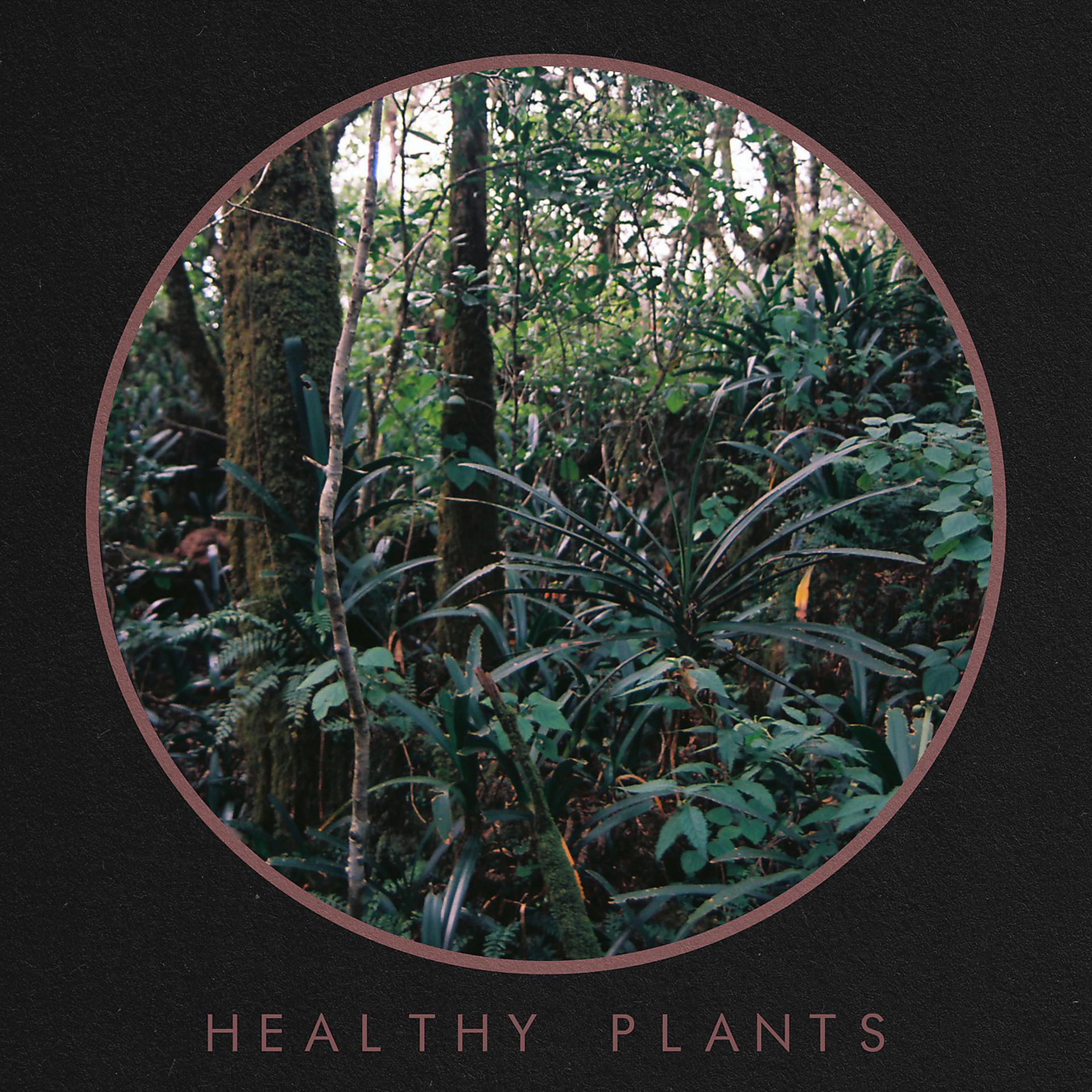 Постер альбома Healthy Plants
