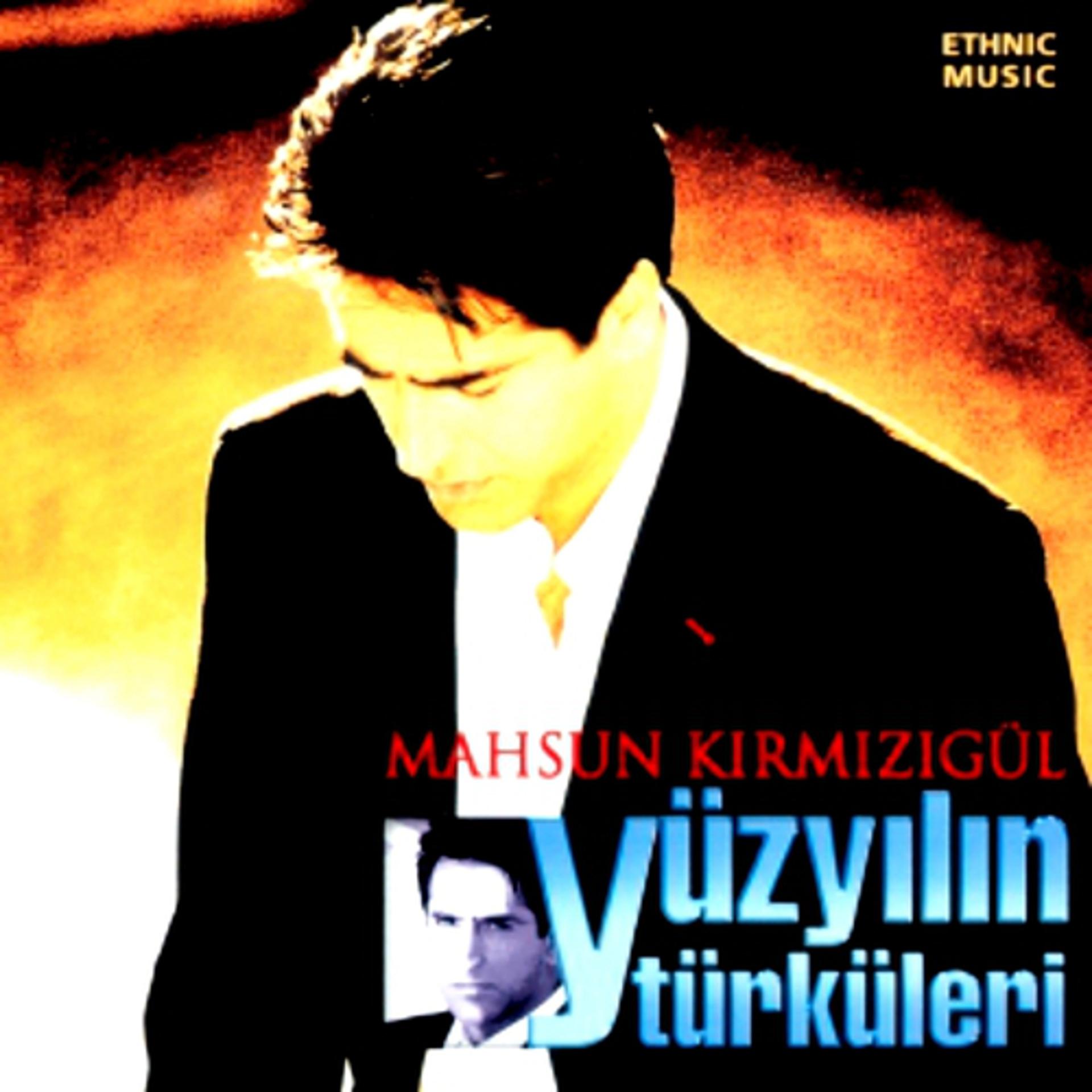 Постер альбома Yüzyılın Türküleri