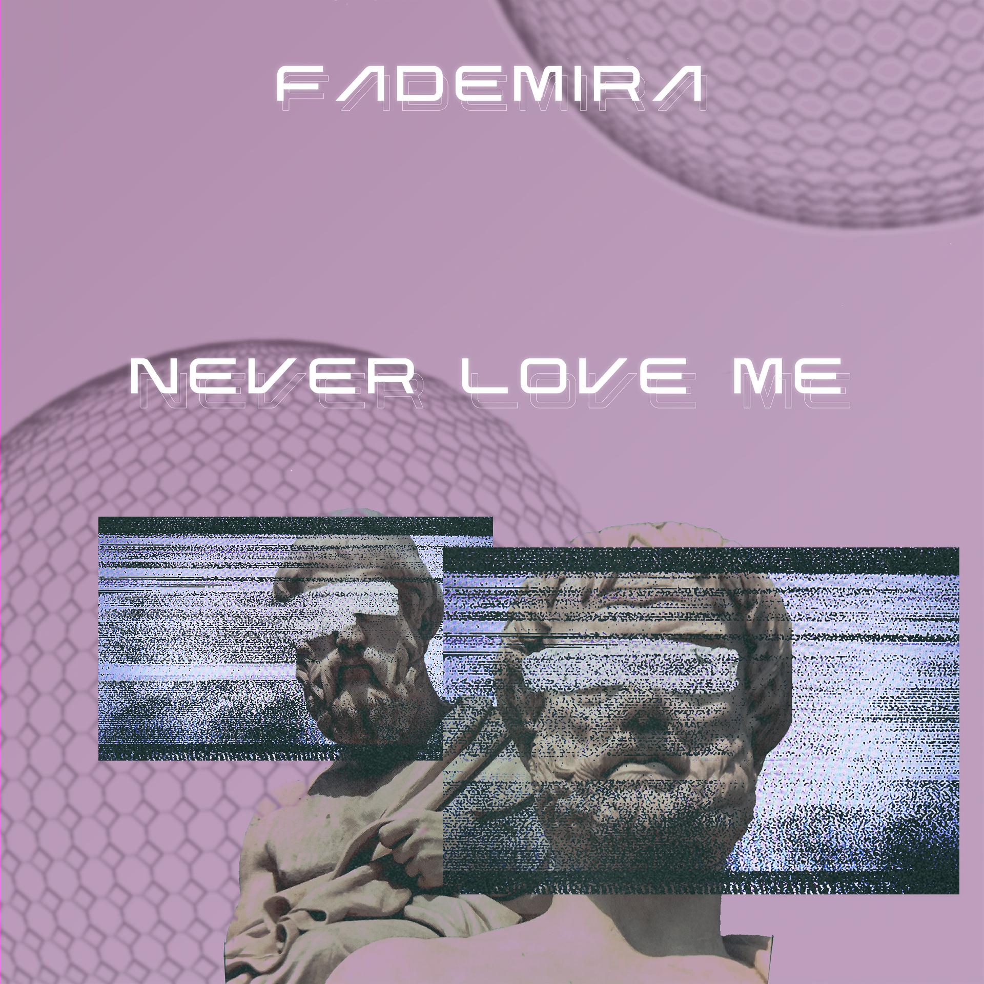 Постер альбома Never Love Me
