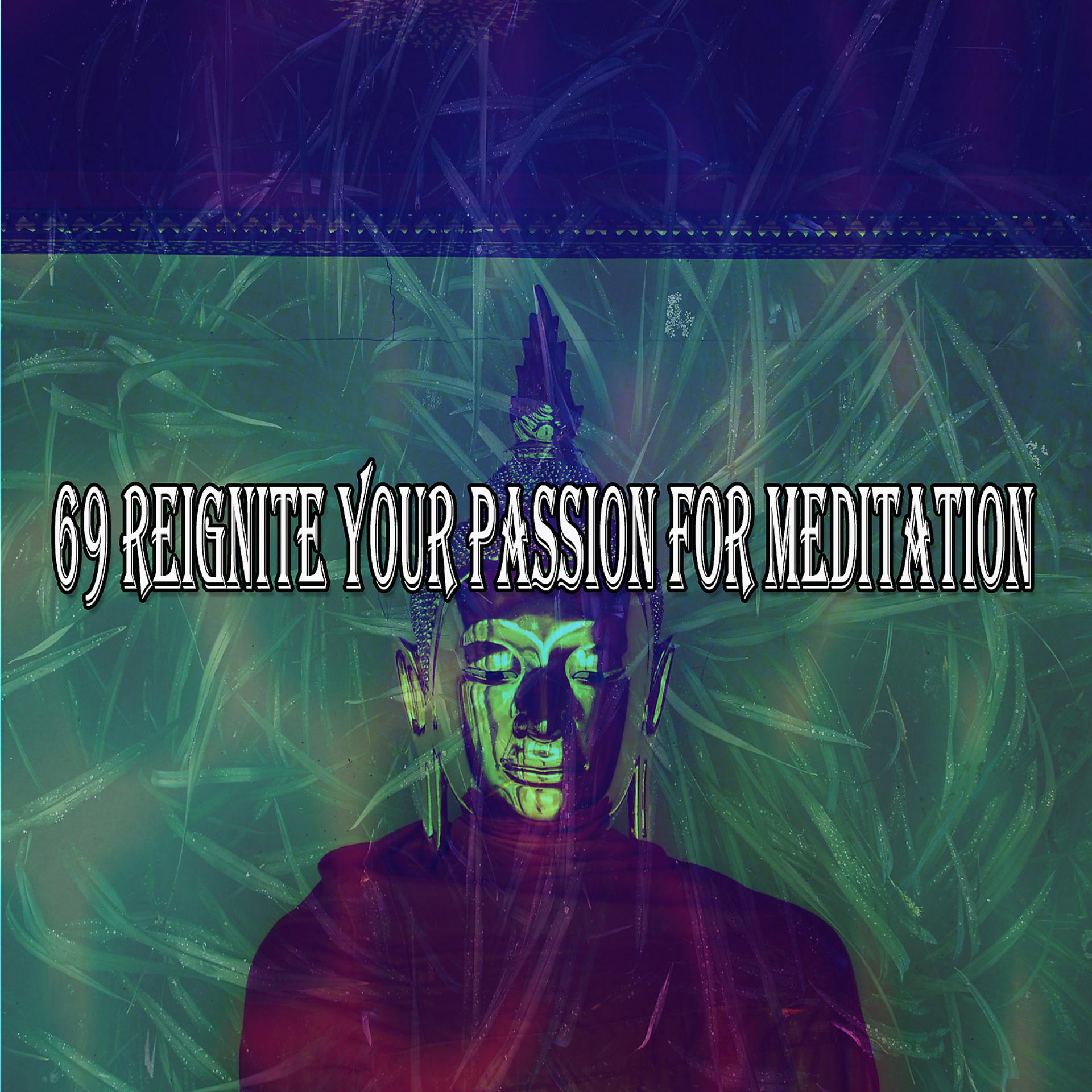 Постер альбома 69 Разжечь страсть к медитации