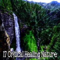 Постер альбома 17 Критическая лечебная природа