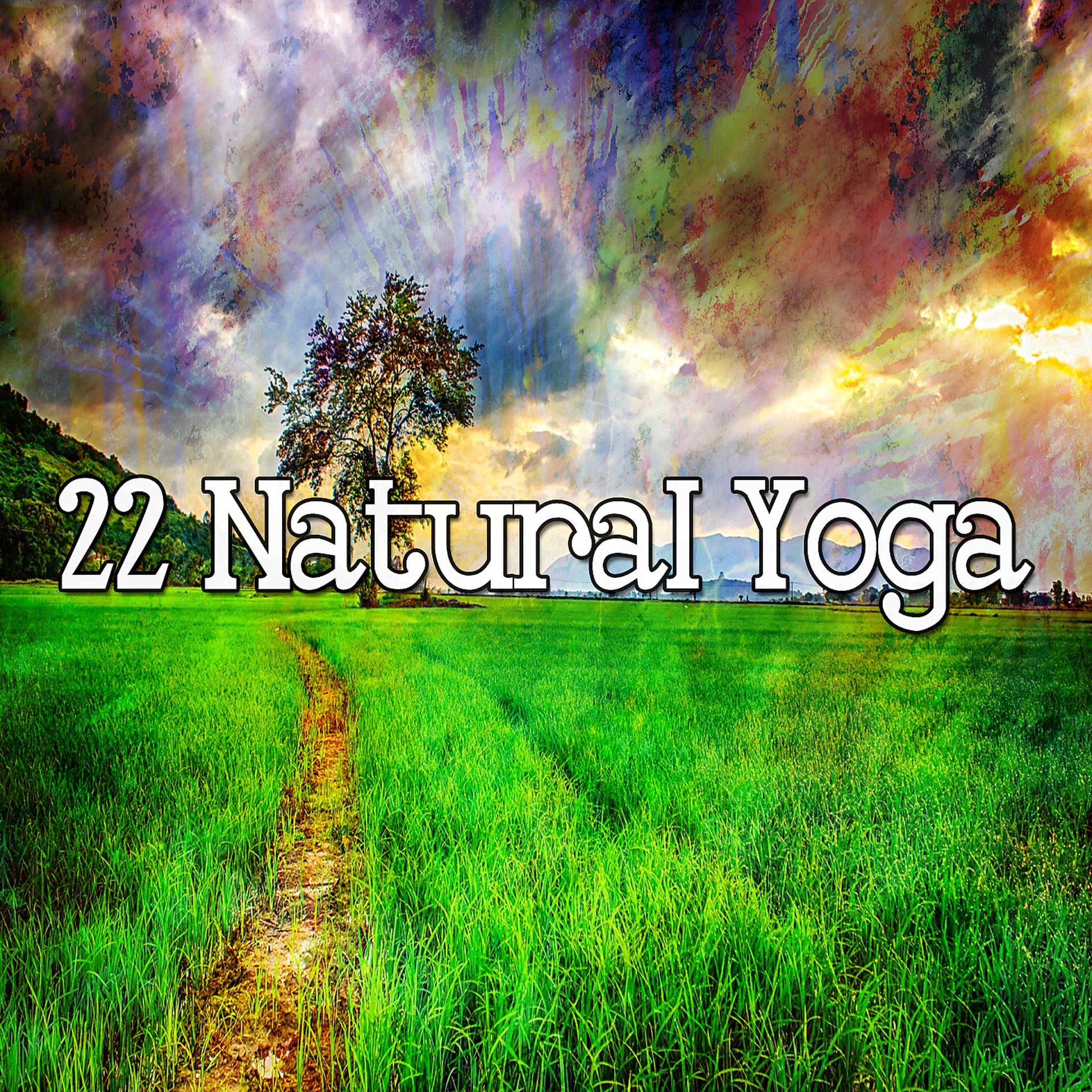 Постер альбома 22 Натуральная йога