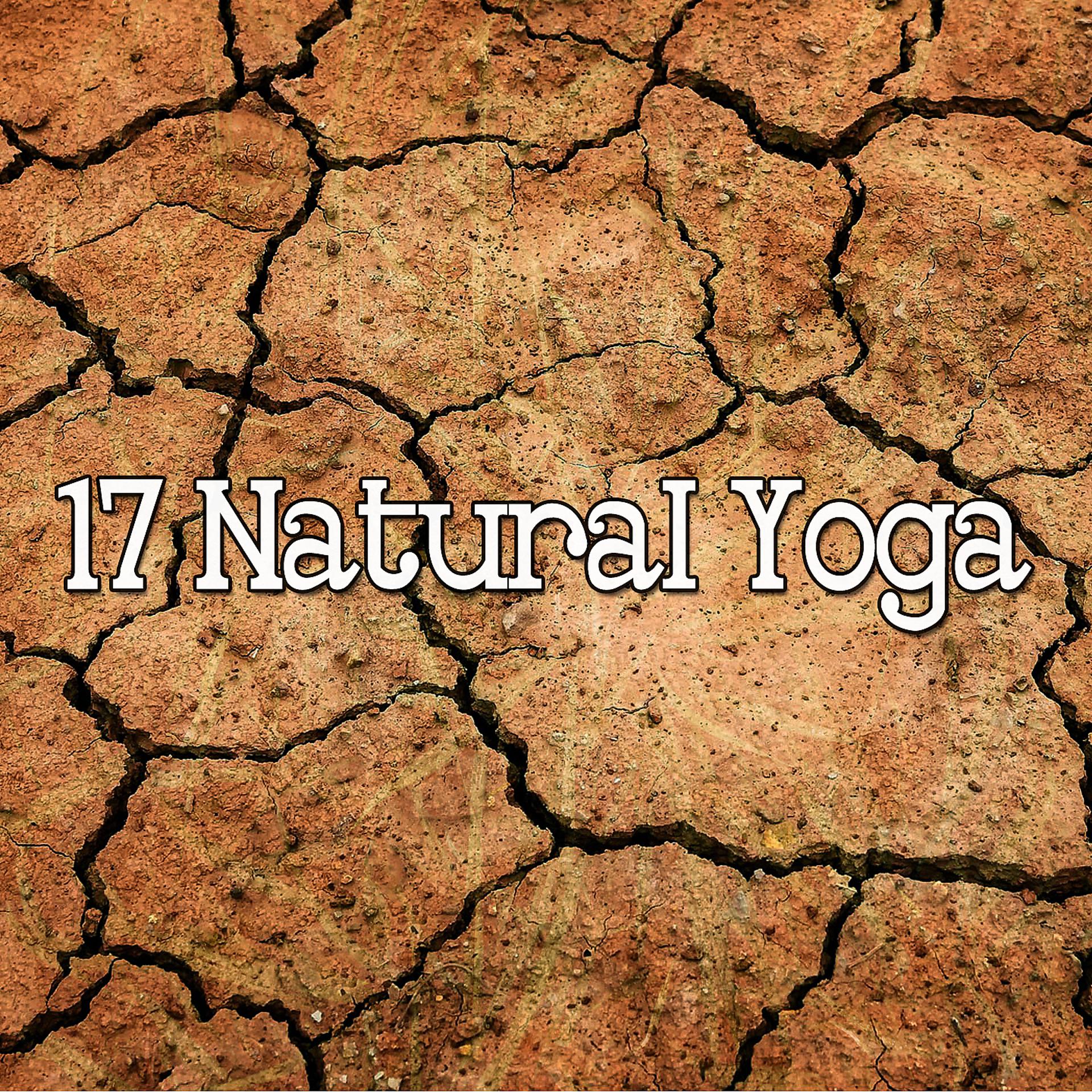 Постер альбома 17 Натуральная йога