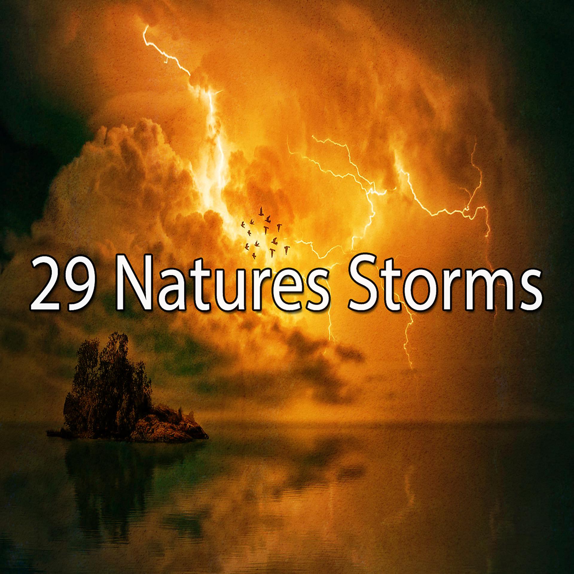 Постер альбома 29 Природные бури