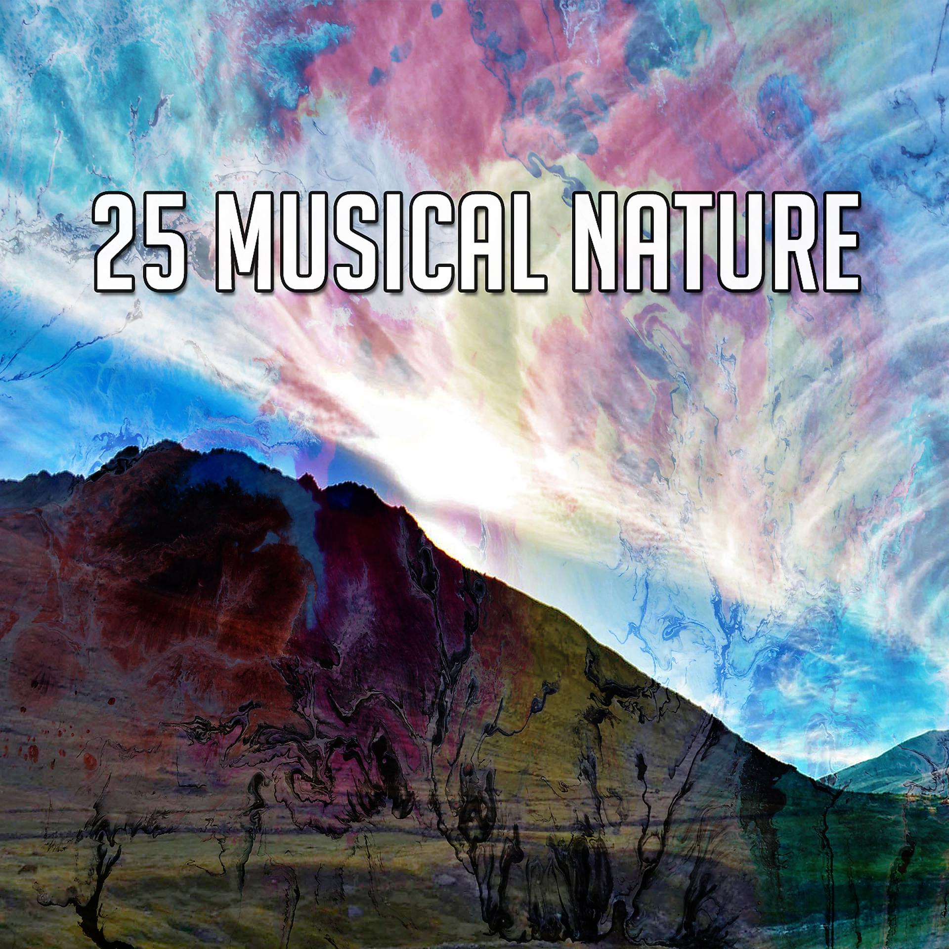 Постер альбома 25 Музыкальная природа