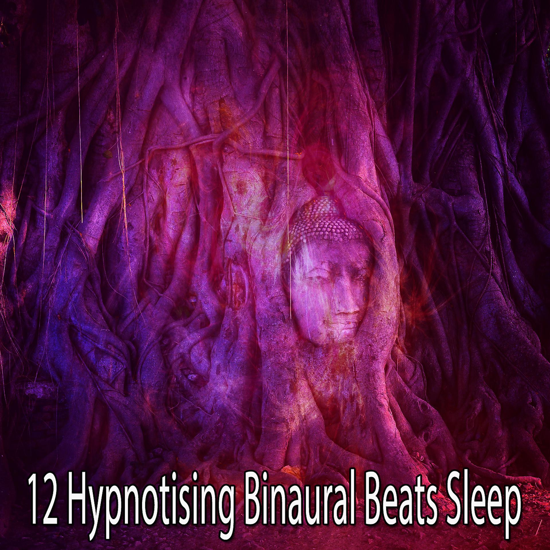 Постер альбома 12 гипнотизирующих бинауральных ритмов сна
