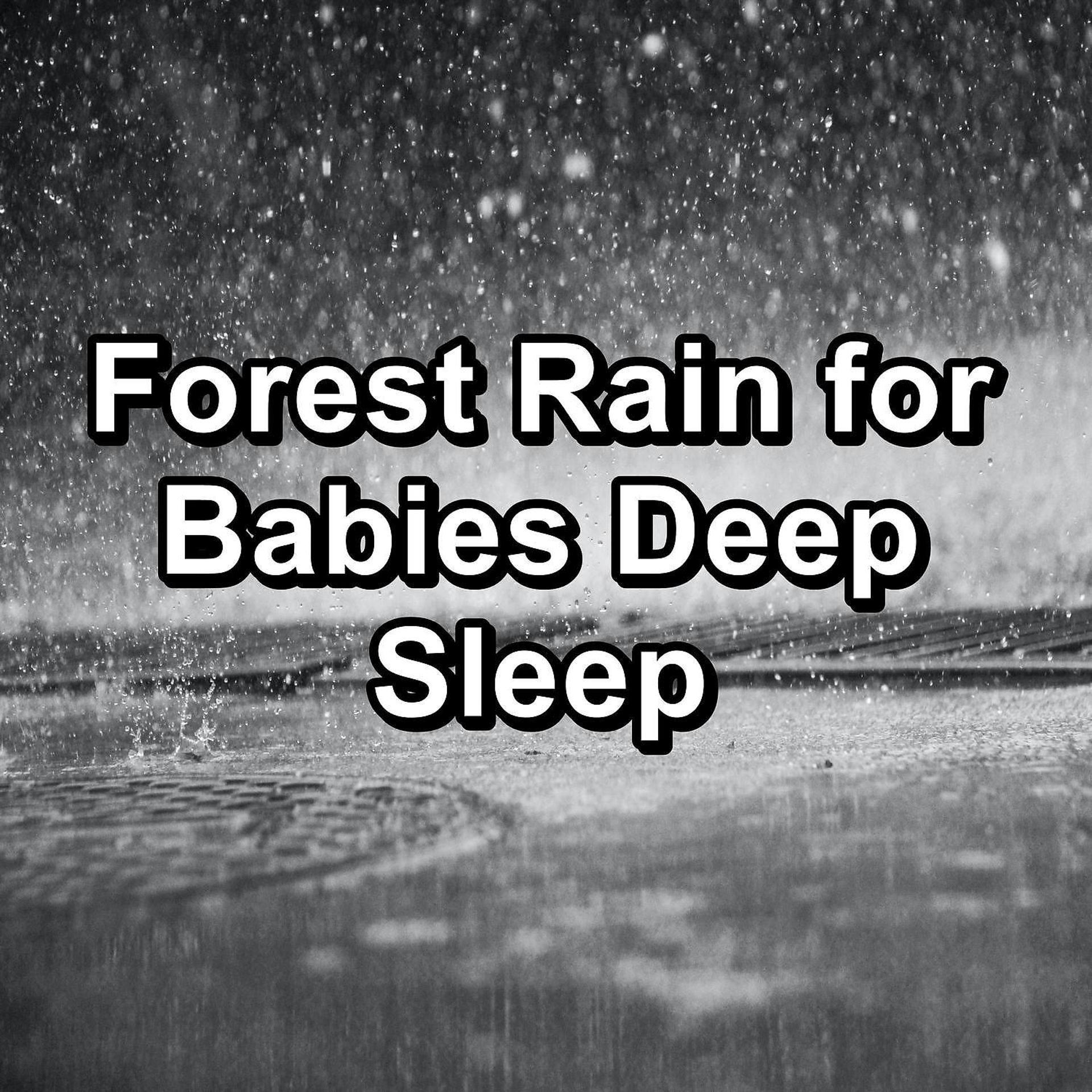 Постер альбома Forest Rain for Babies Deep Sleep