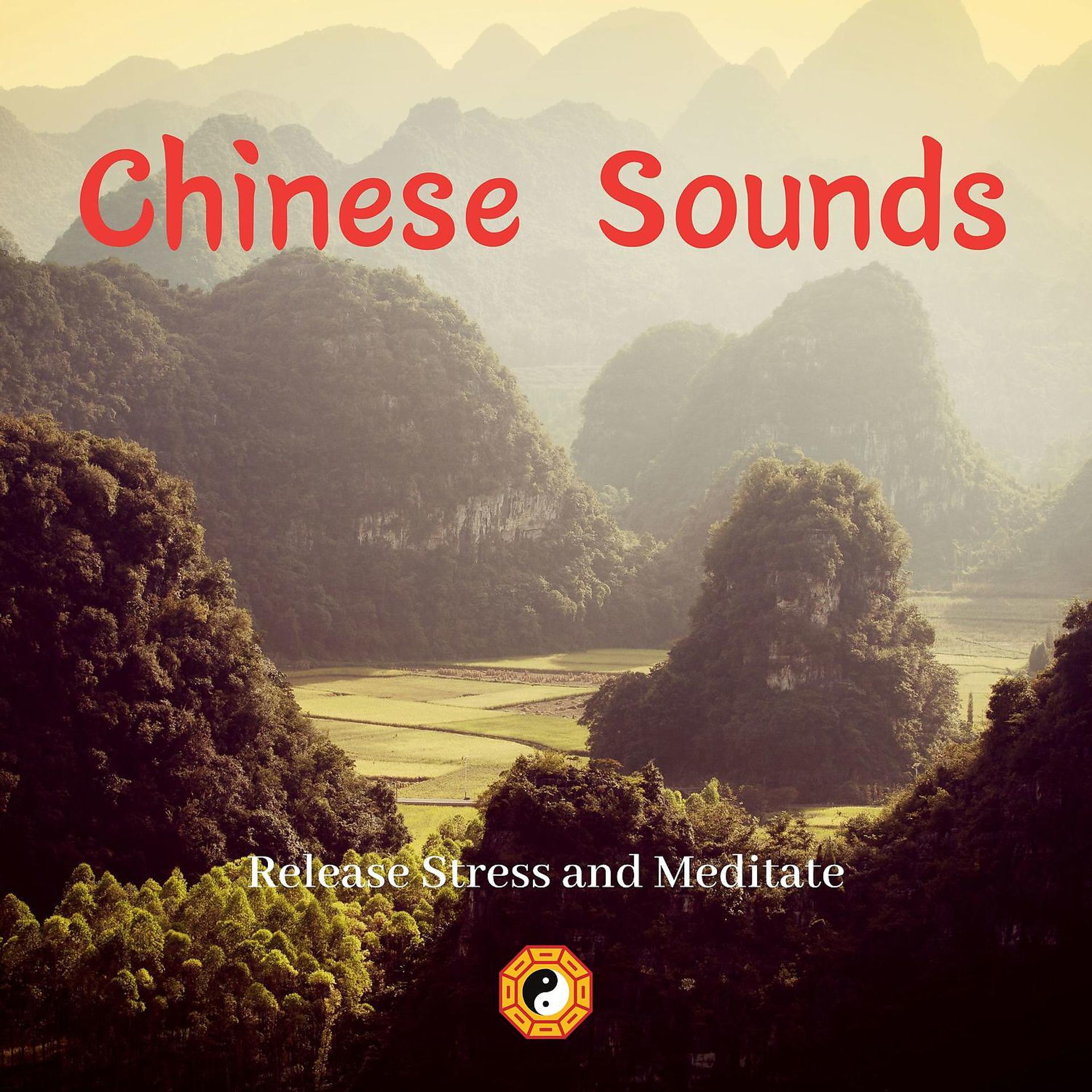 Постер альбома Release Stress and Meditate with Chinese Sounds