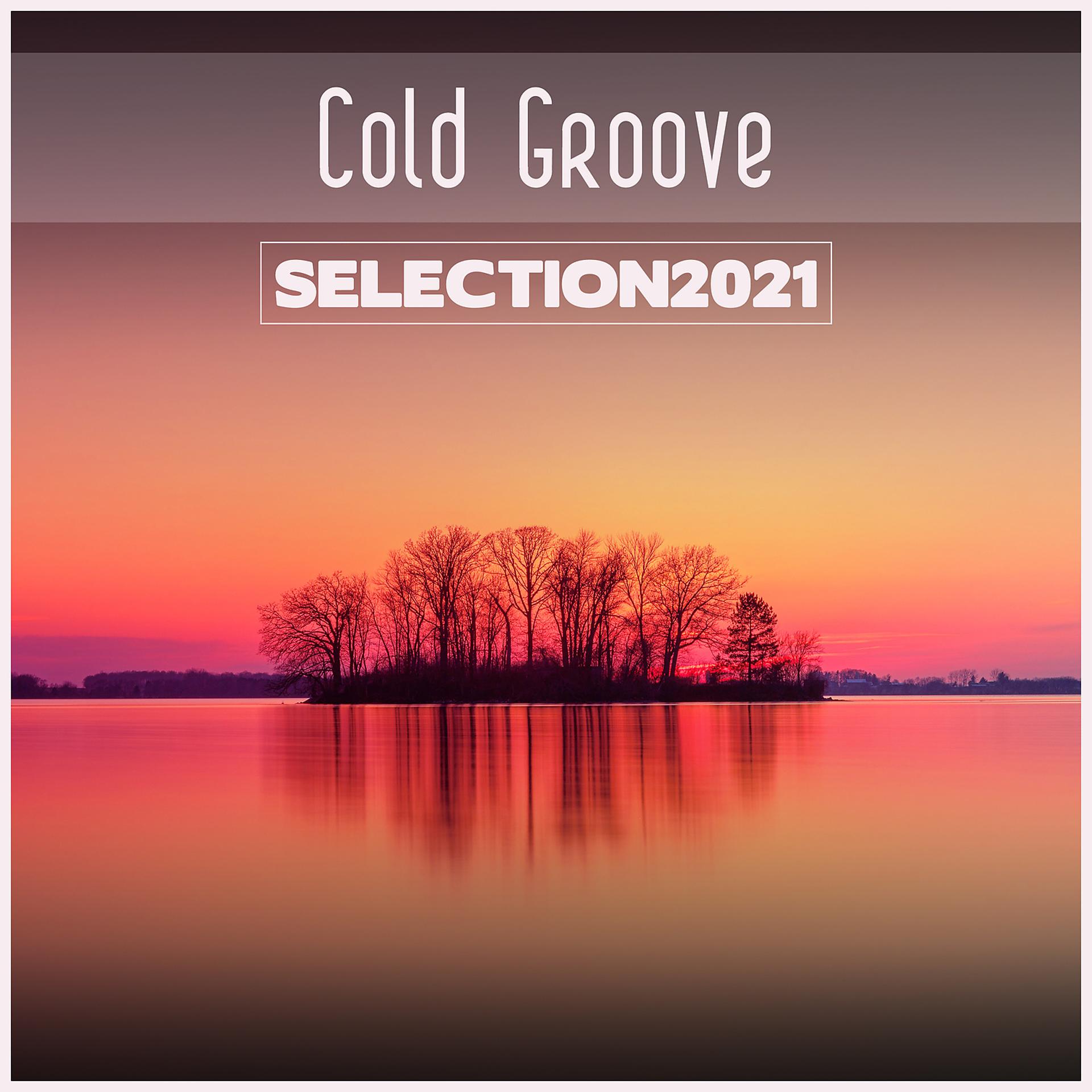 Постер альбома Cold Groove Selection 2021
