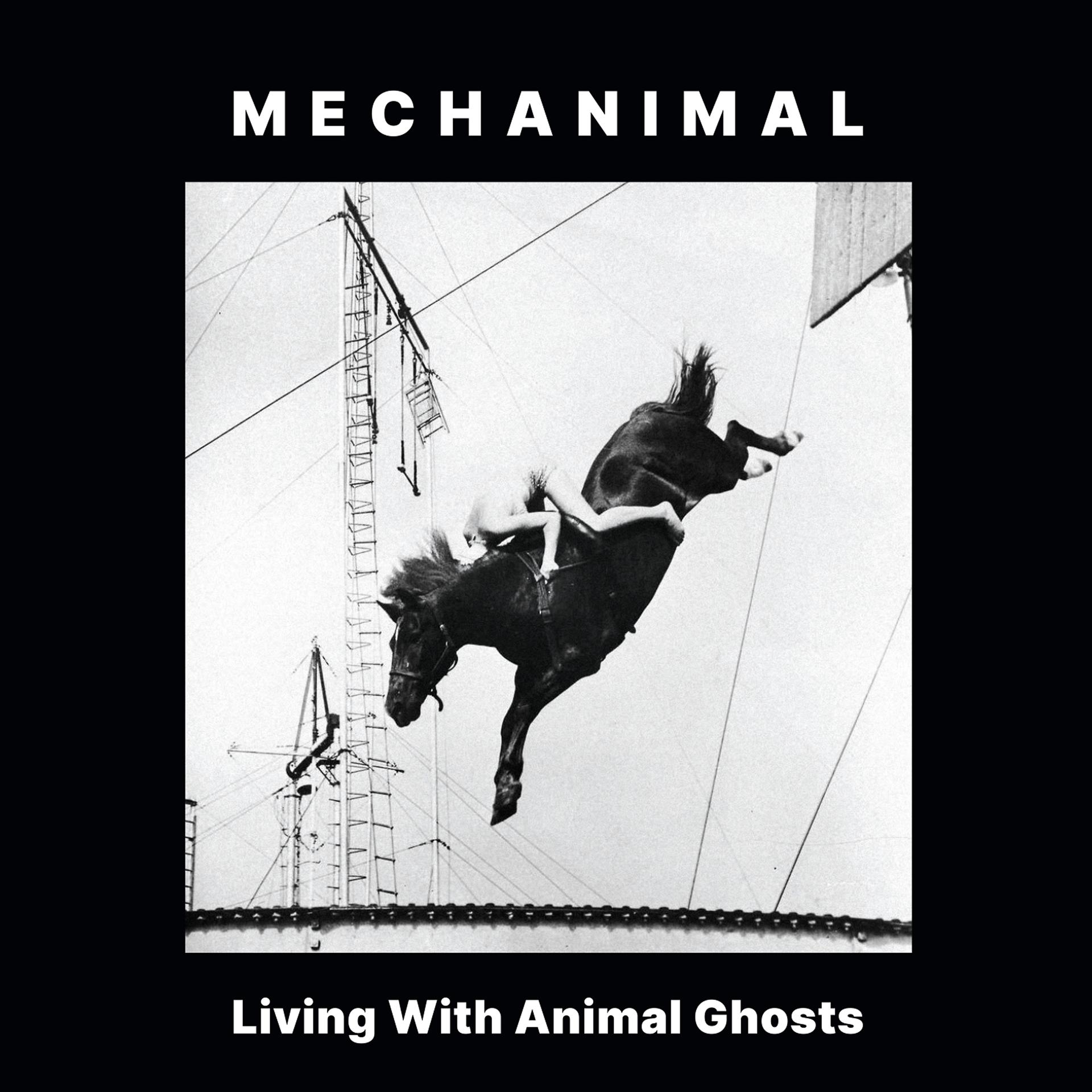 Постер альбома Living with Animal Ghosts