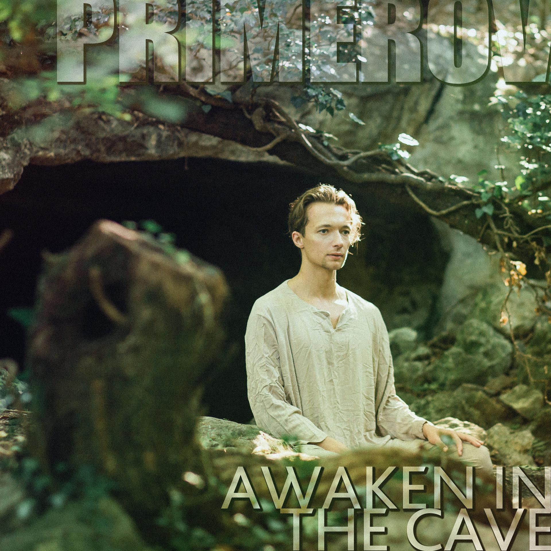 Постер альбома Awaken in the Cave