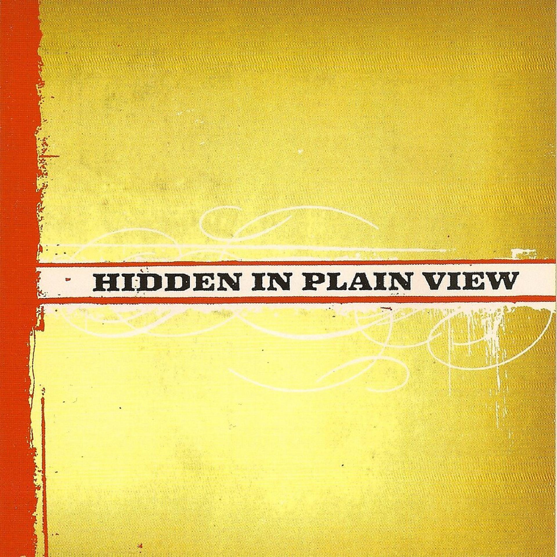 Постер альбома Hidden in Plain View
