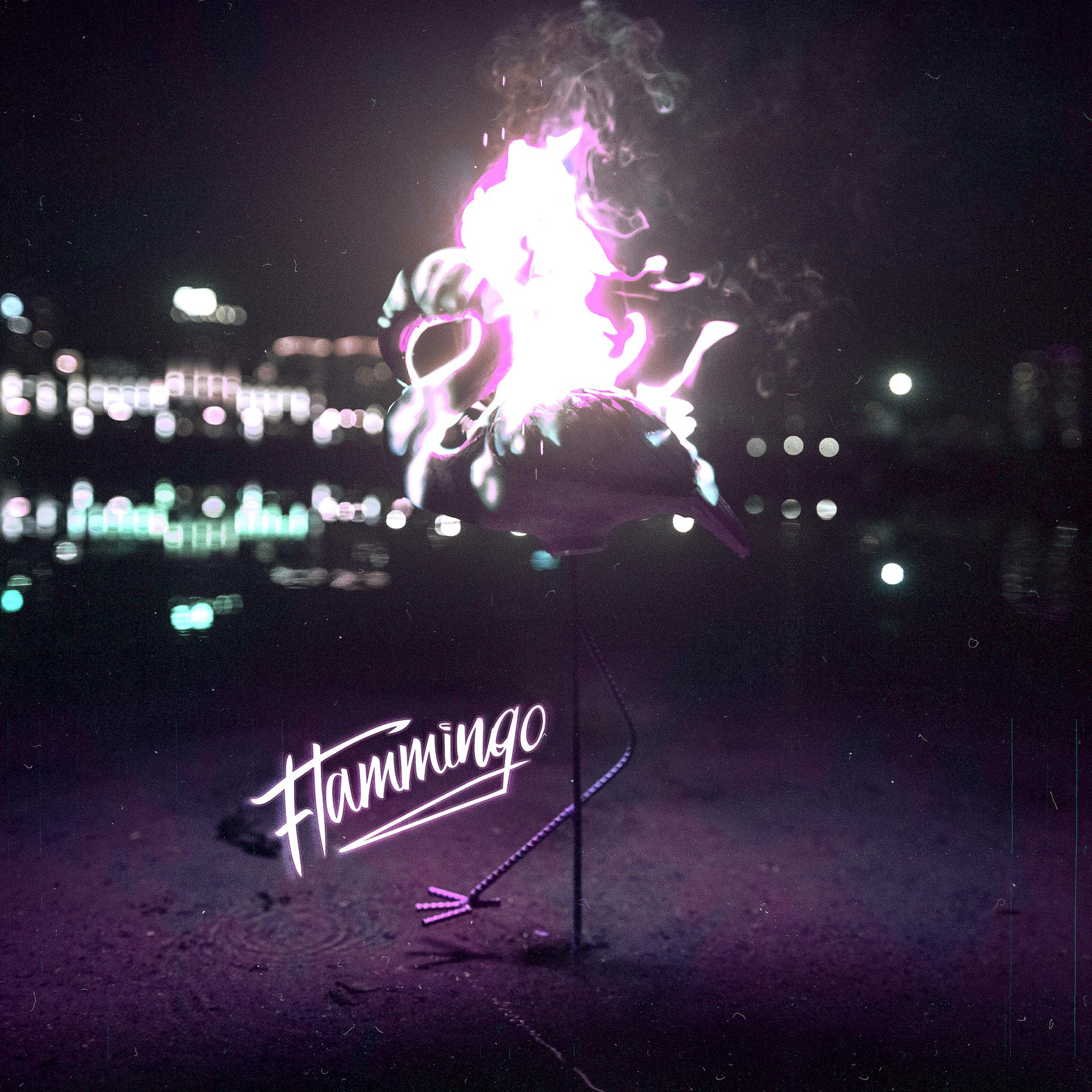 Постер альбома Flammingo