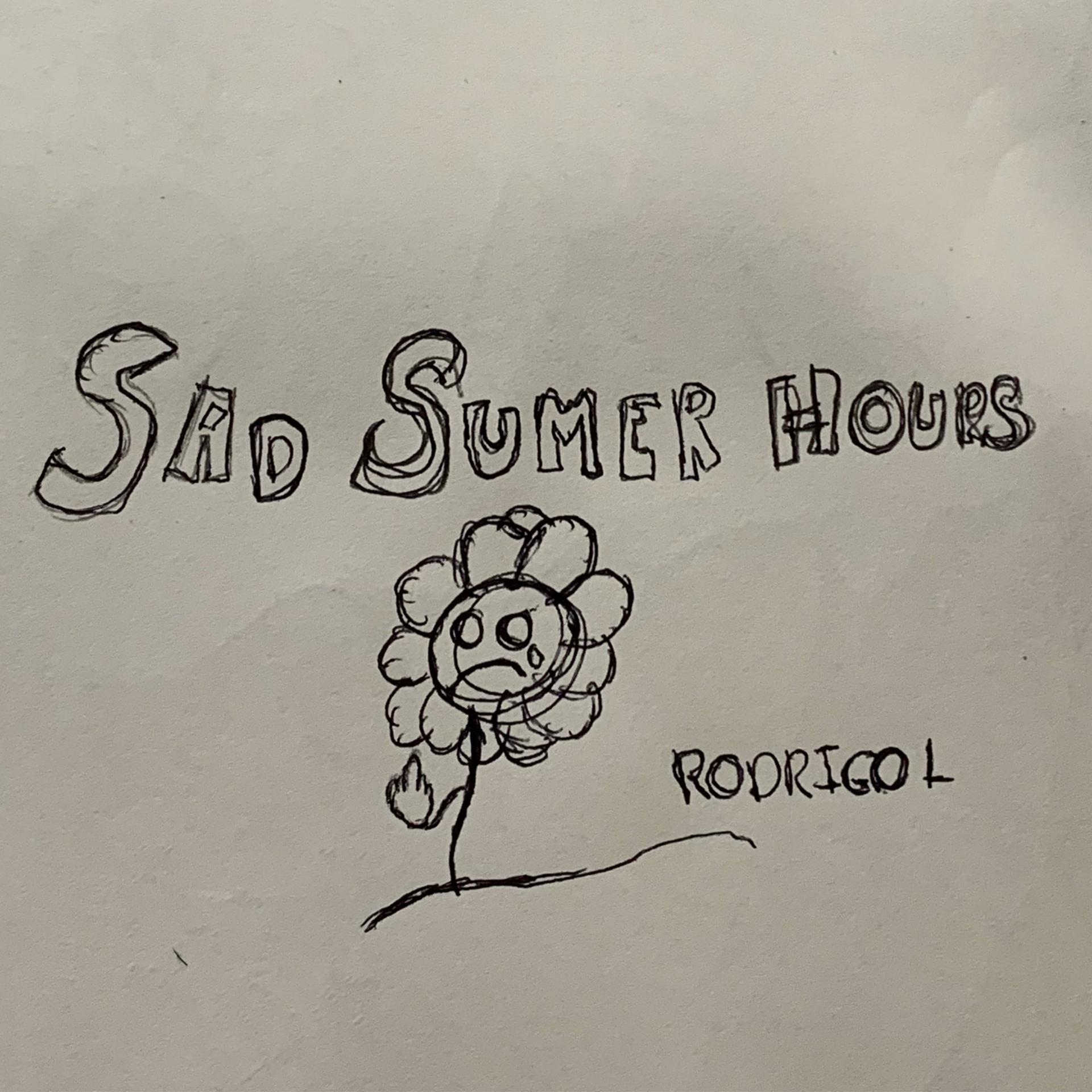 Постер альбома Sad Summer Hours