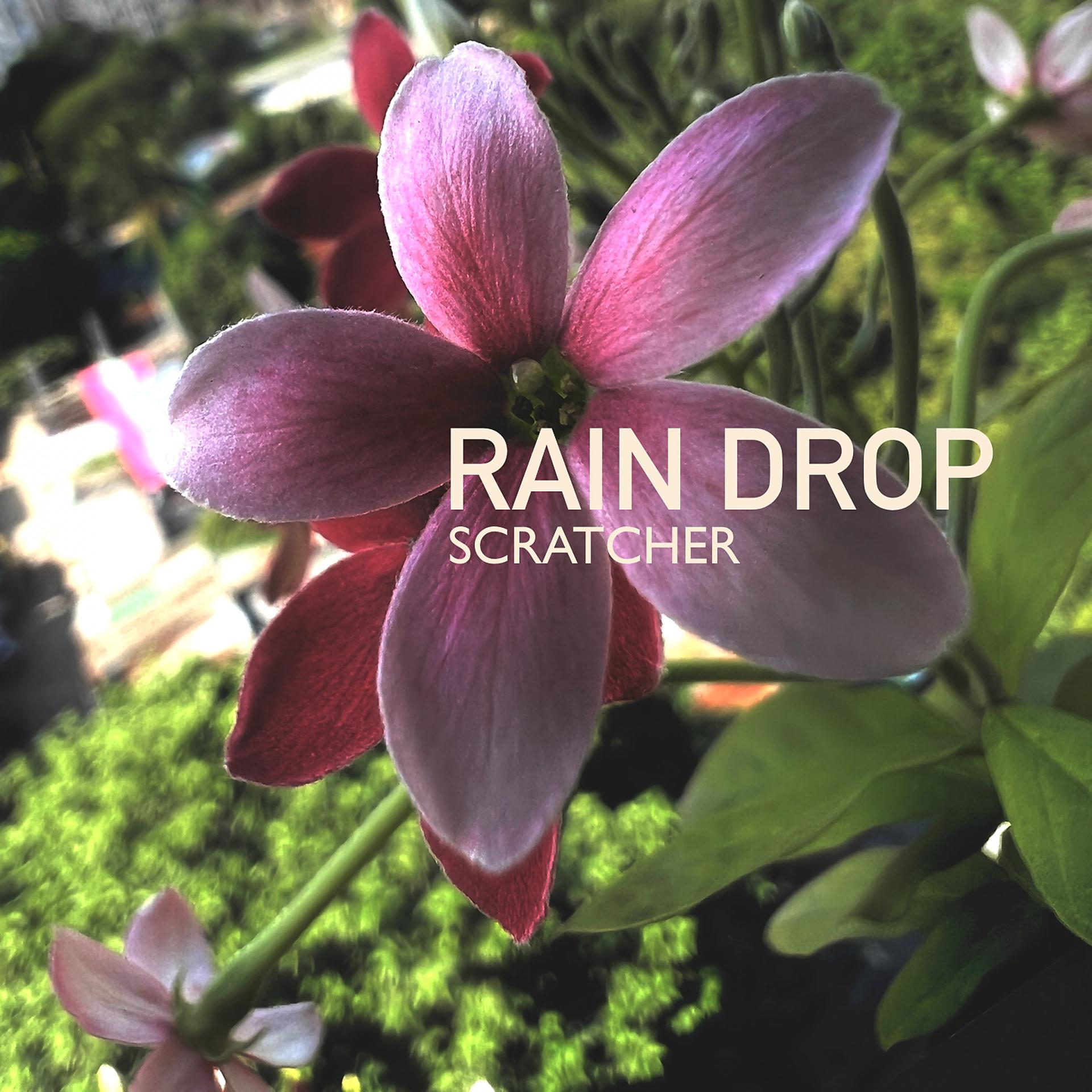 Постер альбома Rain Drop
