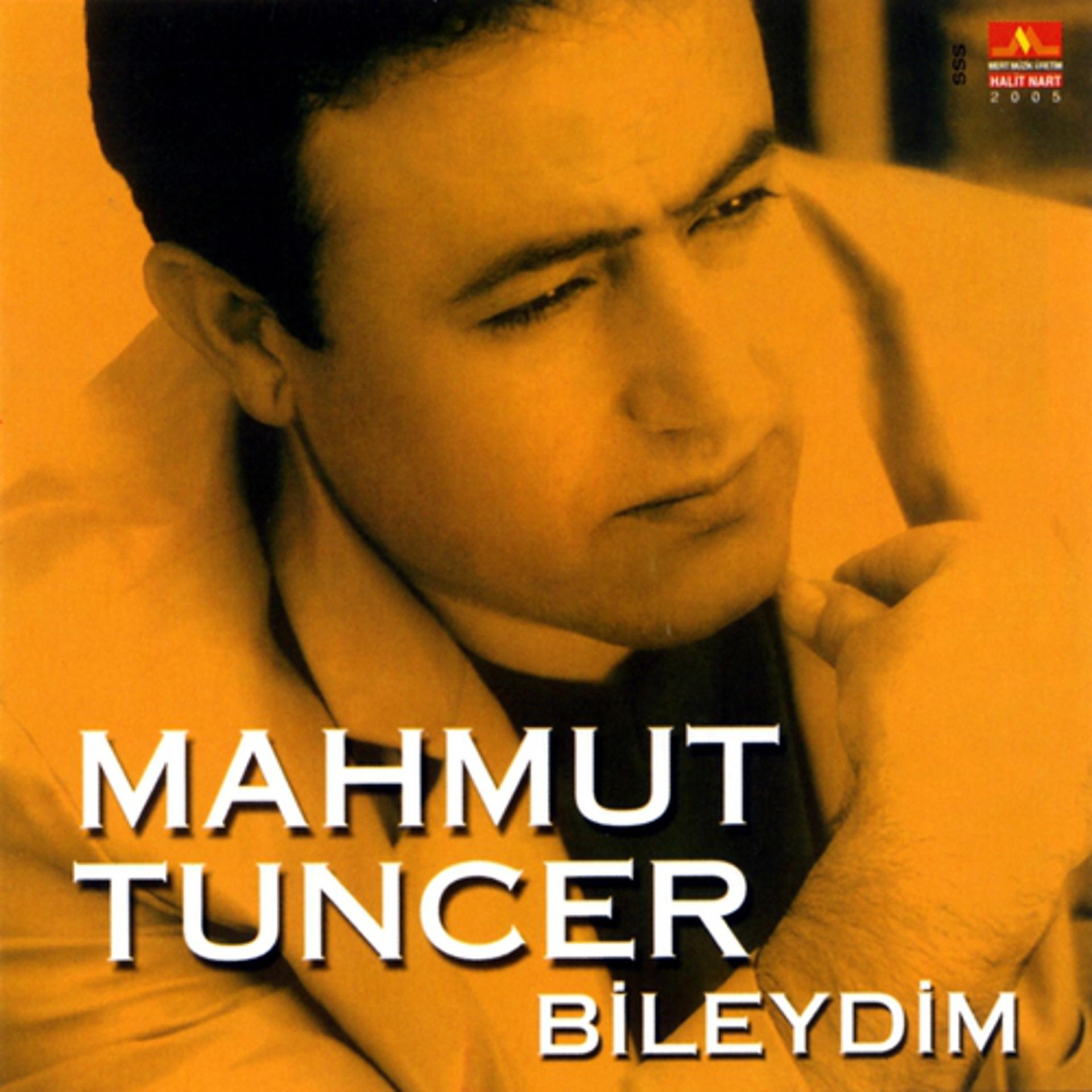 Постер альбома Bileydim