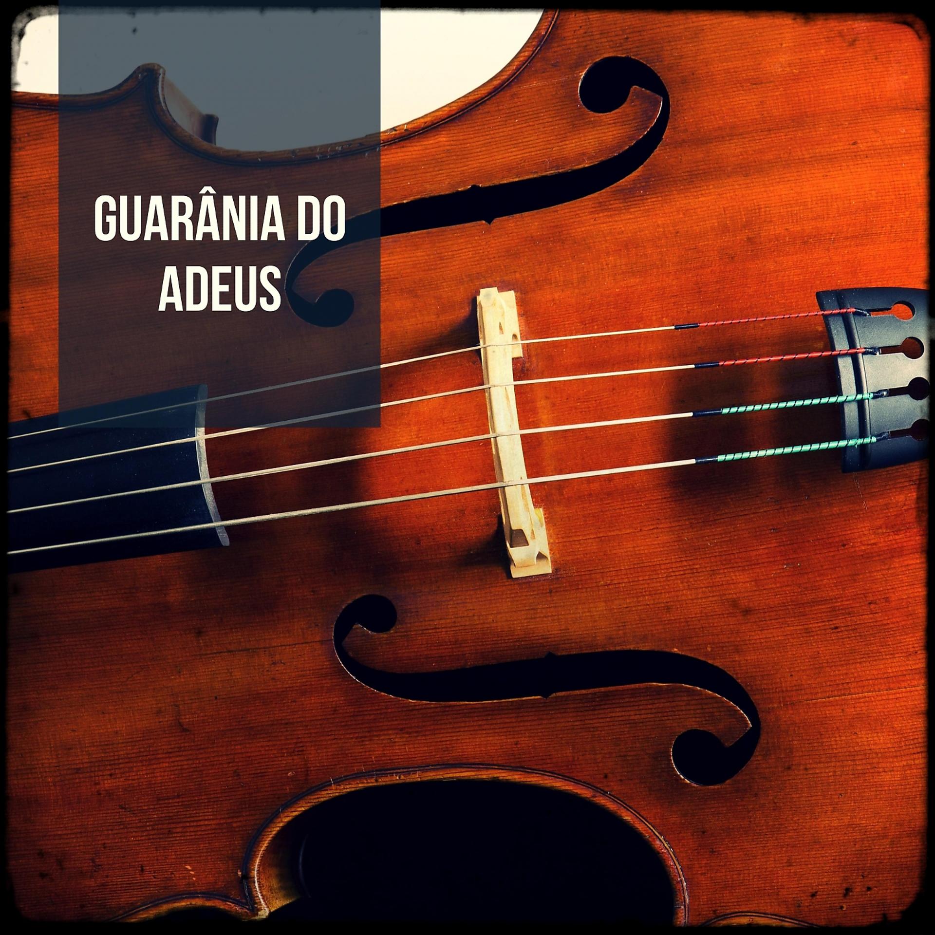 Постер альбома Guarânia do Adeus