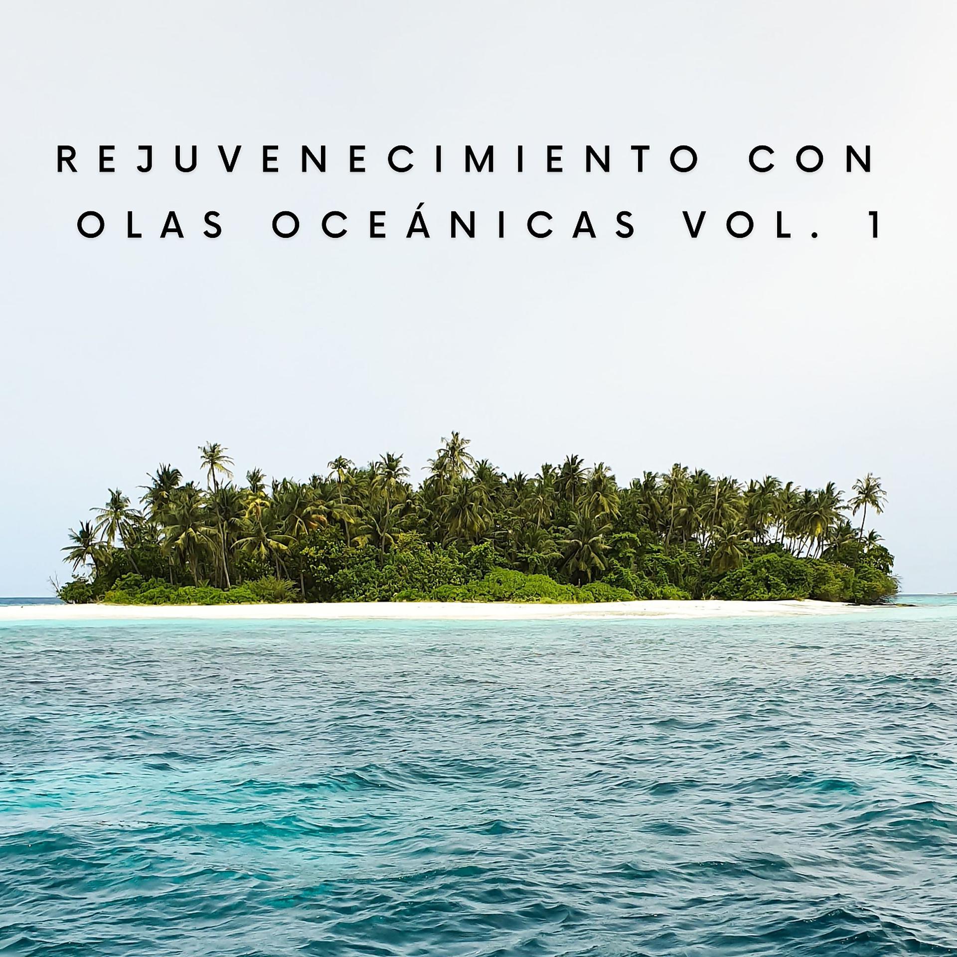 Постер альбома Rejuvenecimiento Con Olas Oceánicas Vol. 1
