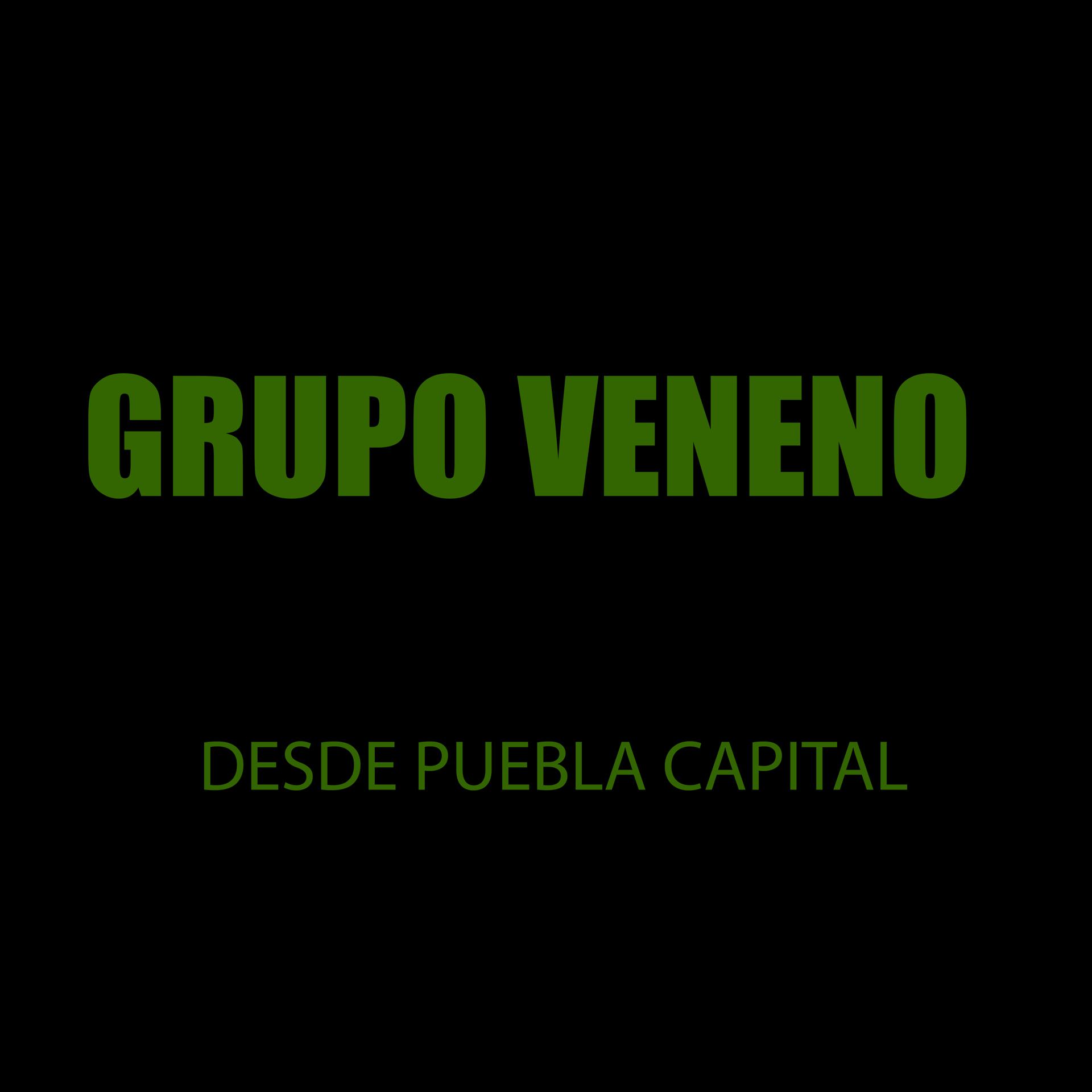 Постер альбома Desde Puebla Capital