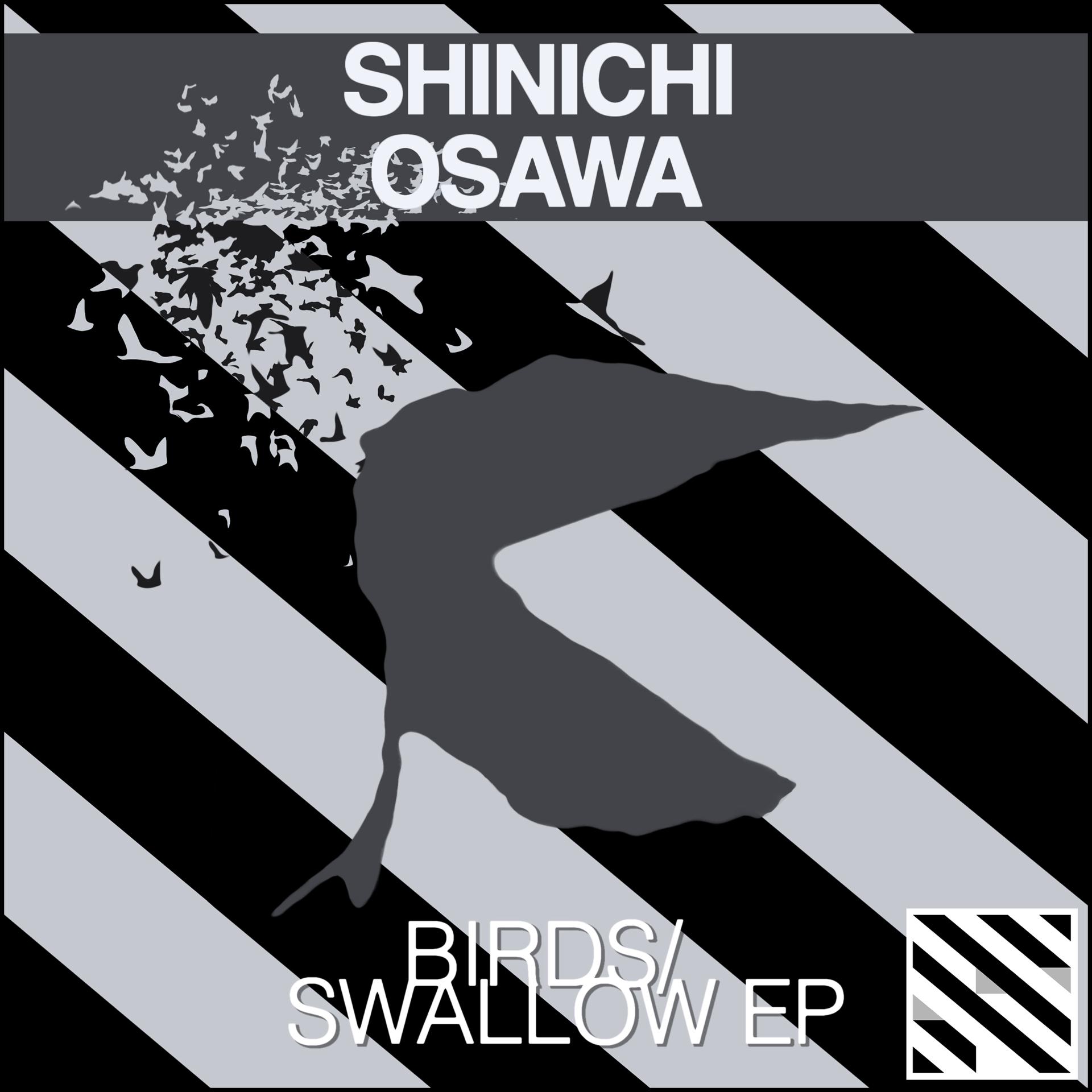 Постер альбома Birds/Swallow - EP