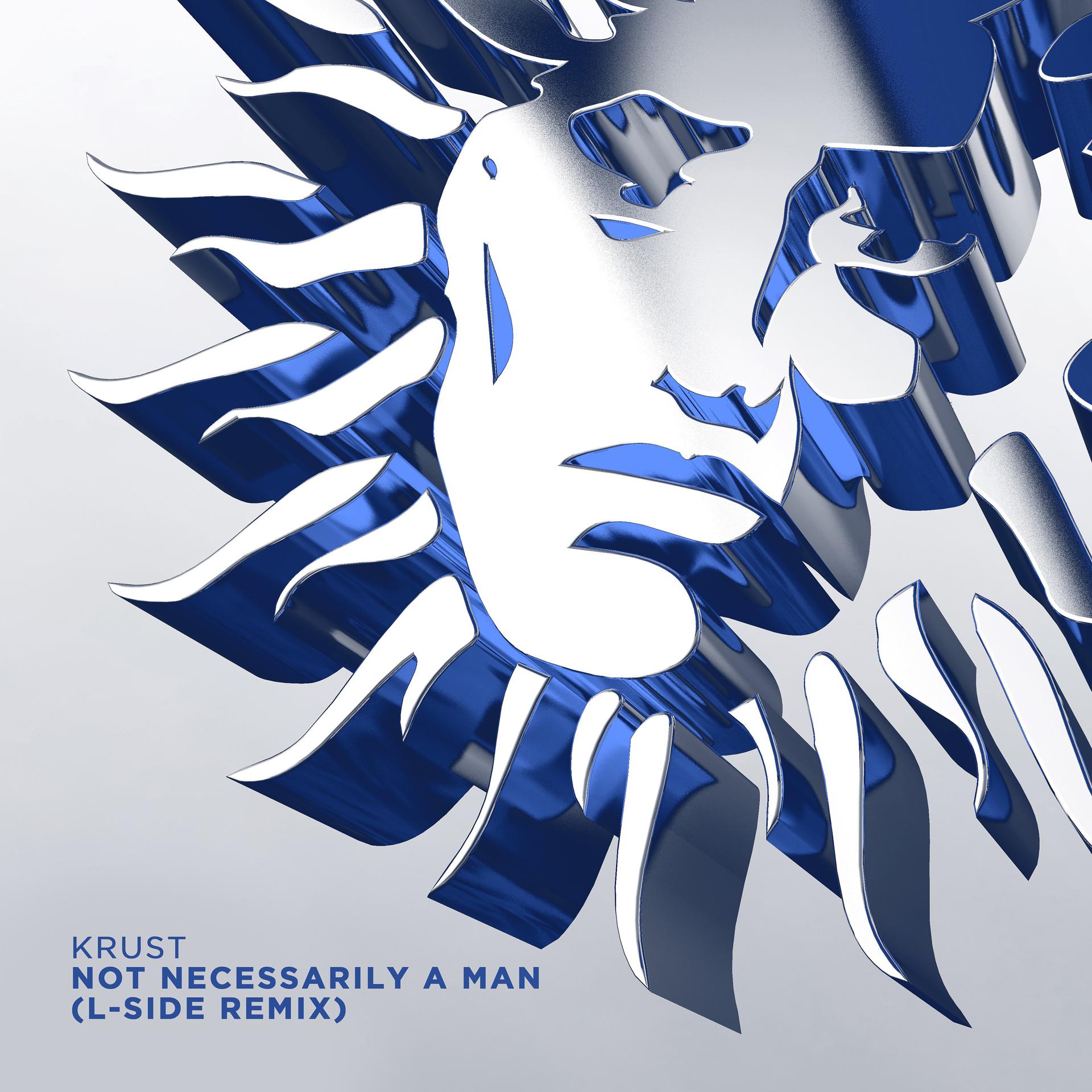 Постер альбома Not Necessarily a Man