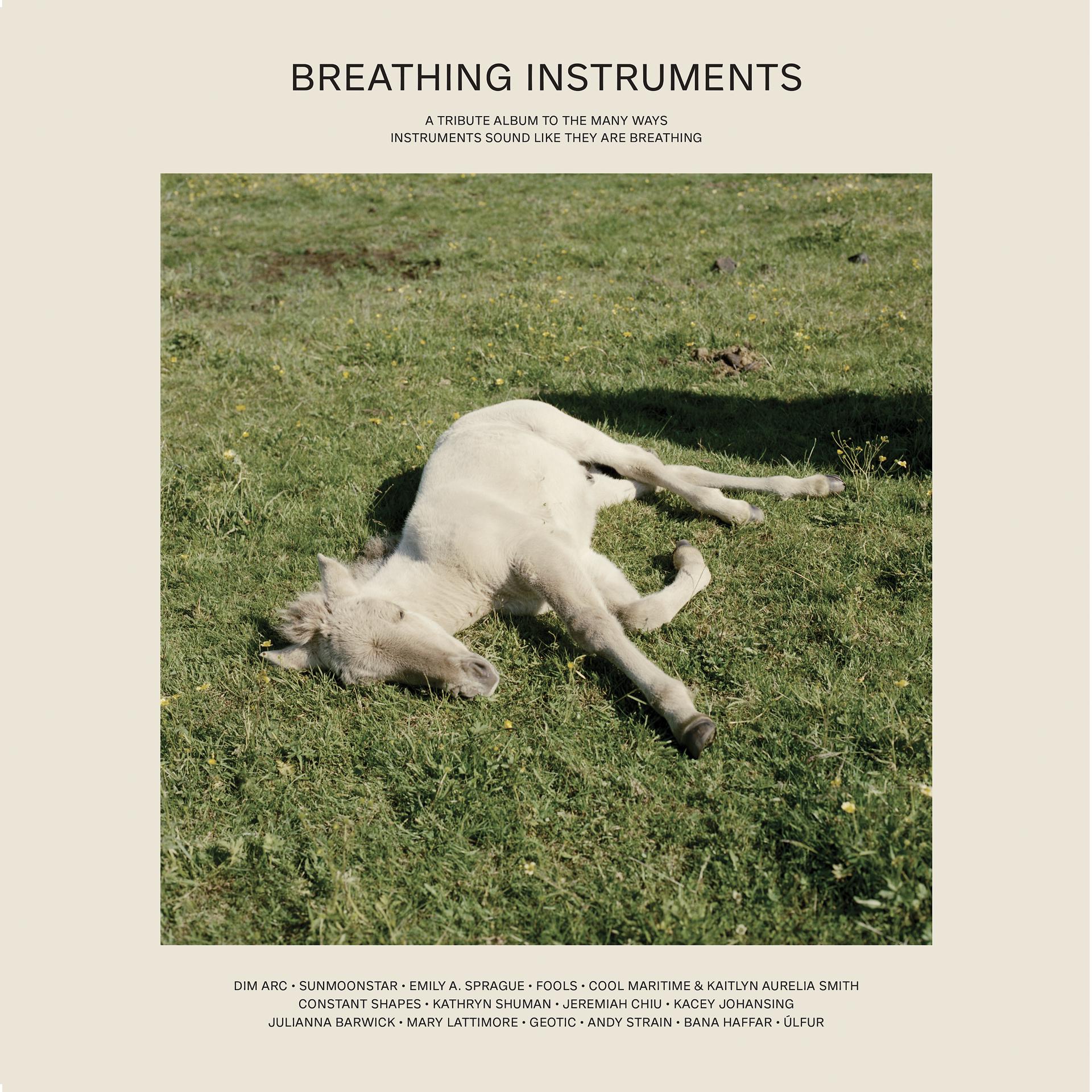 Постер альбома Breathing Instruments
