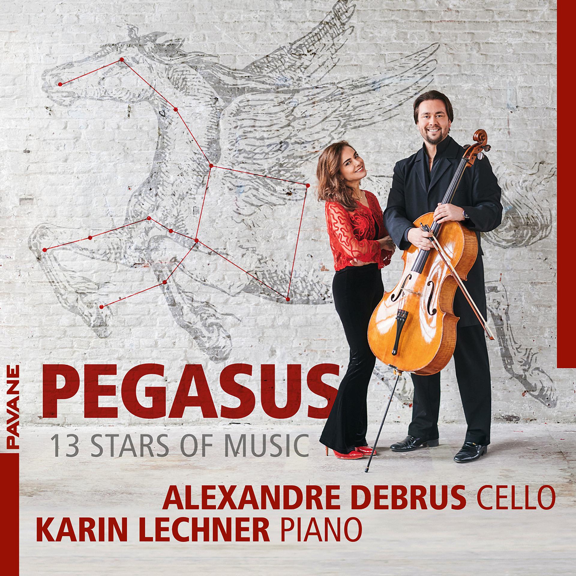 Постер альбома Pegasus - 13 Stars of Music