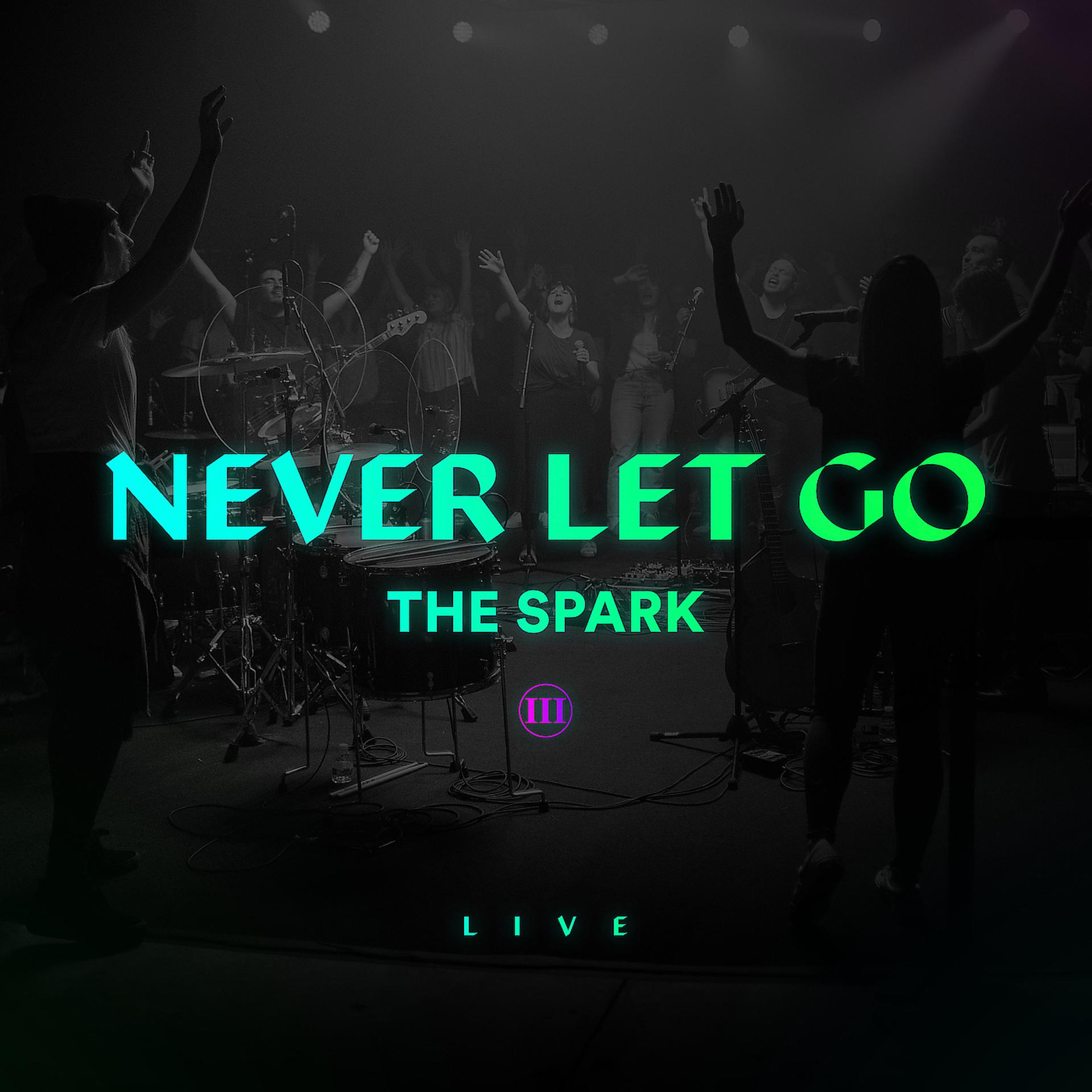 Постер альбома Never Let Go (Live)