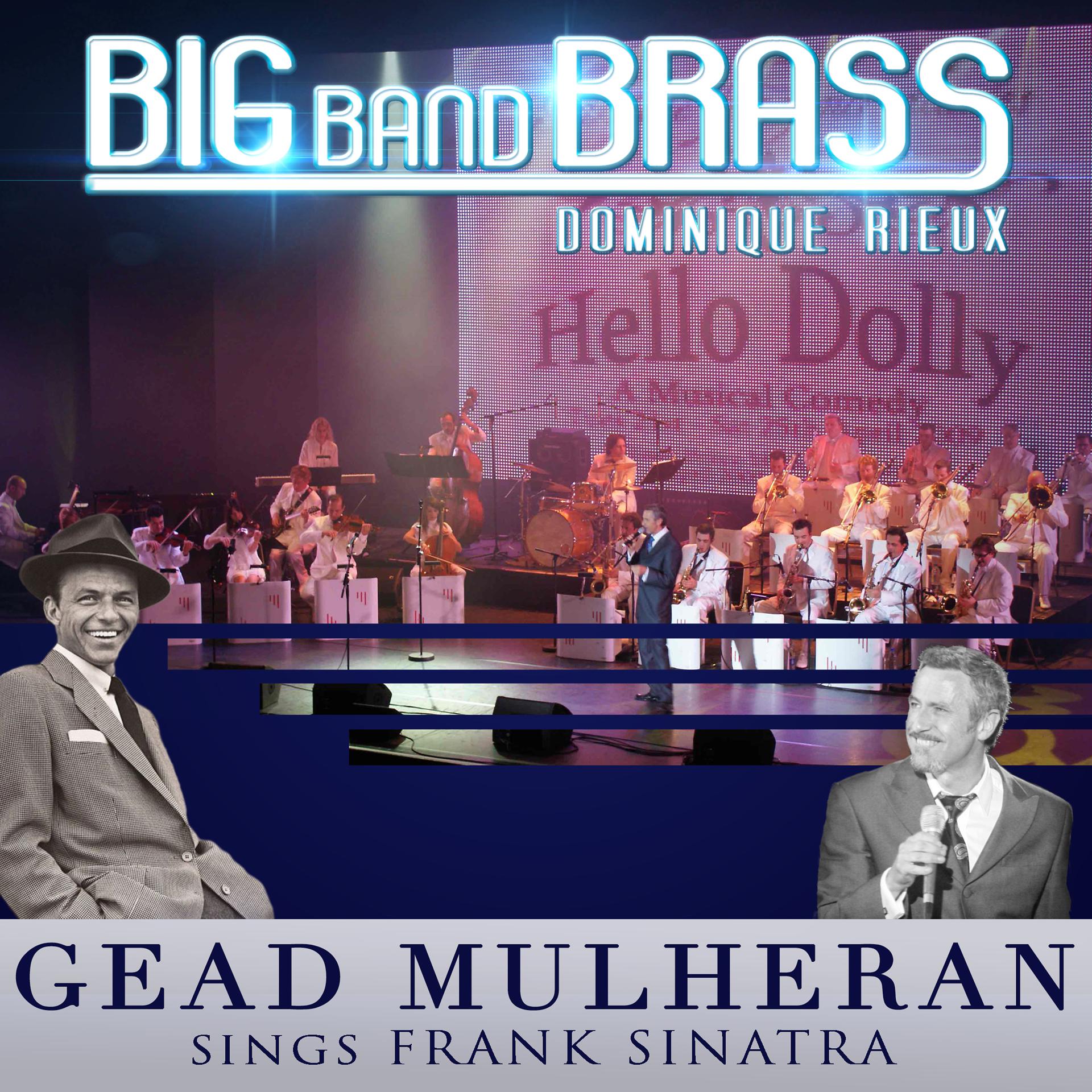 Постер альбома Gead Mulheran Sings Sinatra (Live)