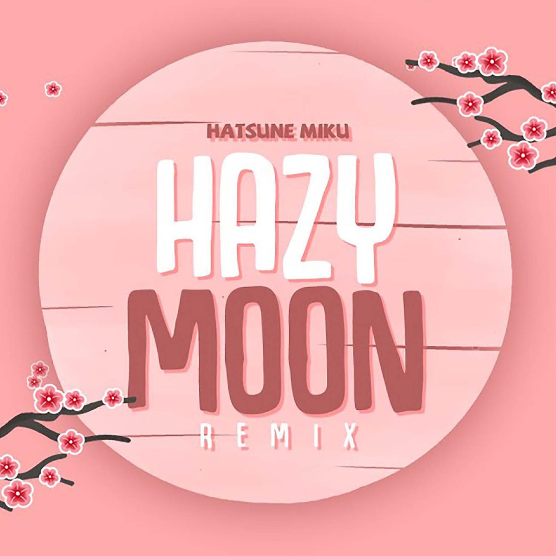 Постер альбома Hazy Moon