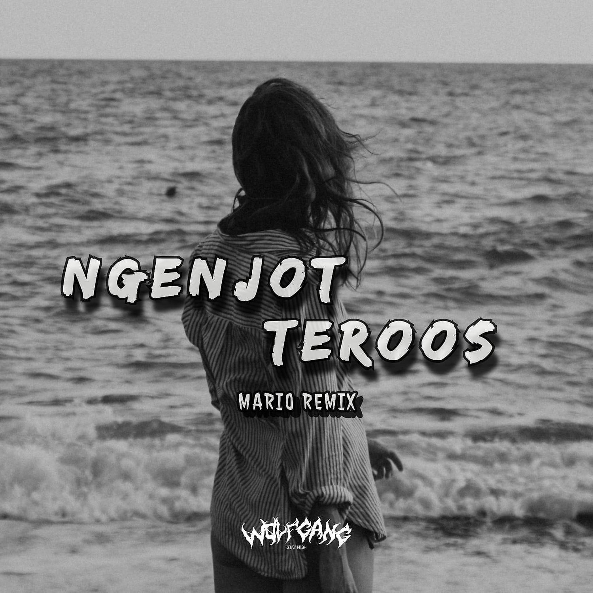 Постер альбома Ngenjot Teroos