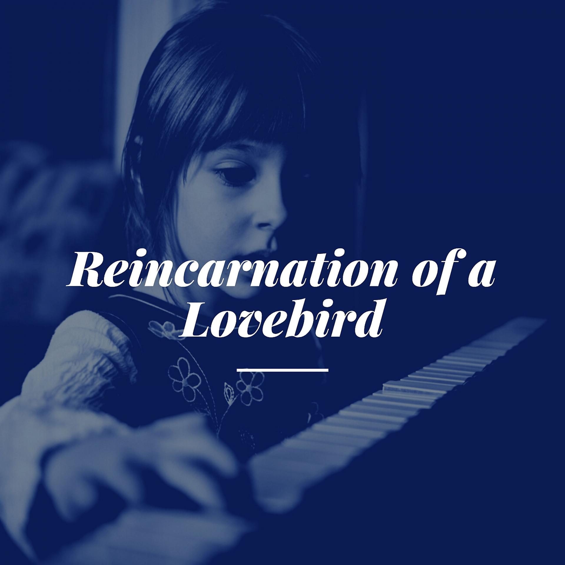 Постер альбома Reincarnation of a Lovebird
