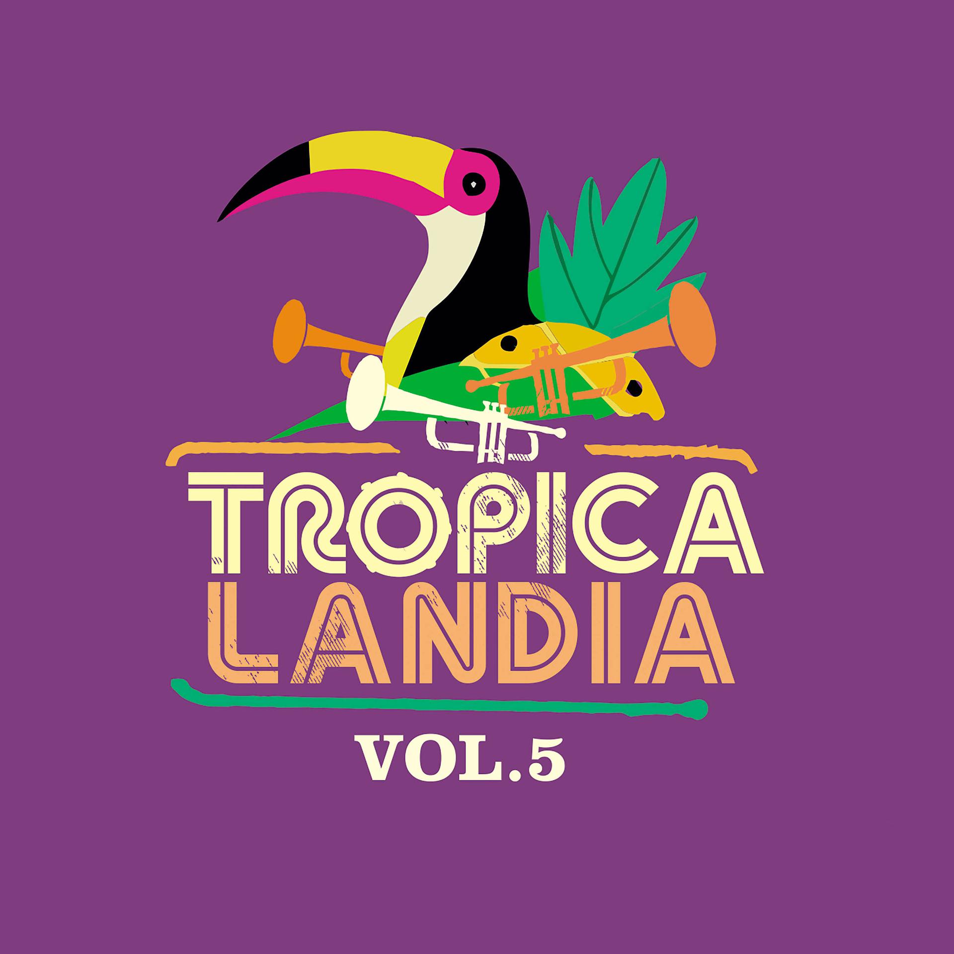 Постер альбома Tropicalandia, Vol. 5 (Radio Edit)