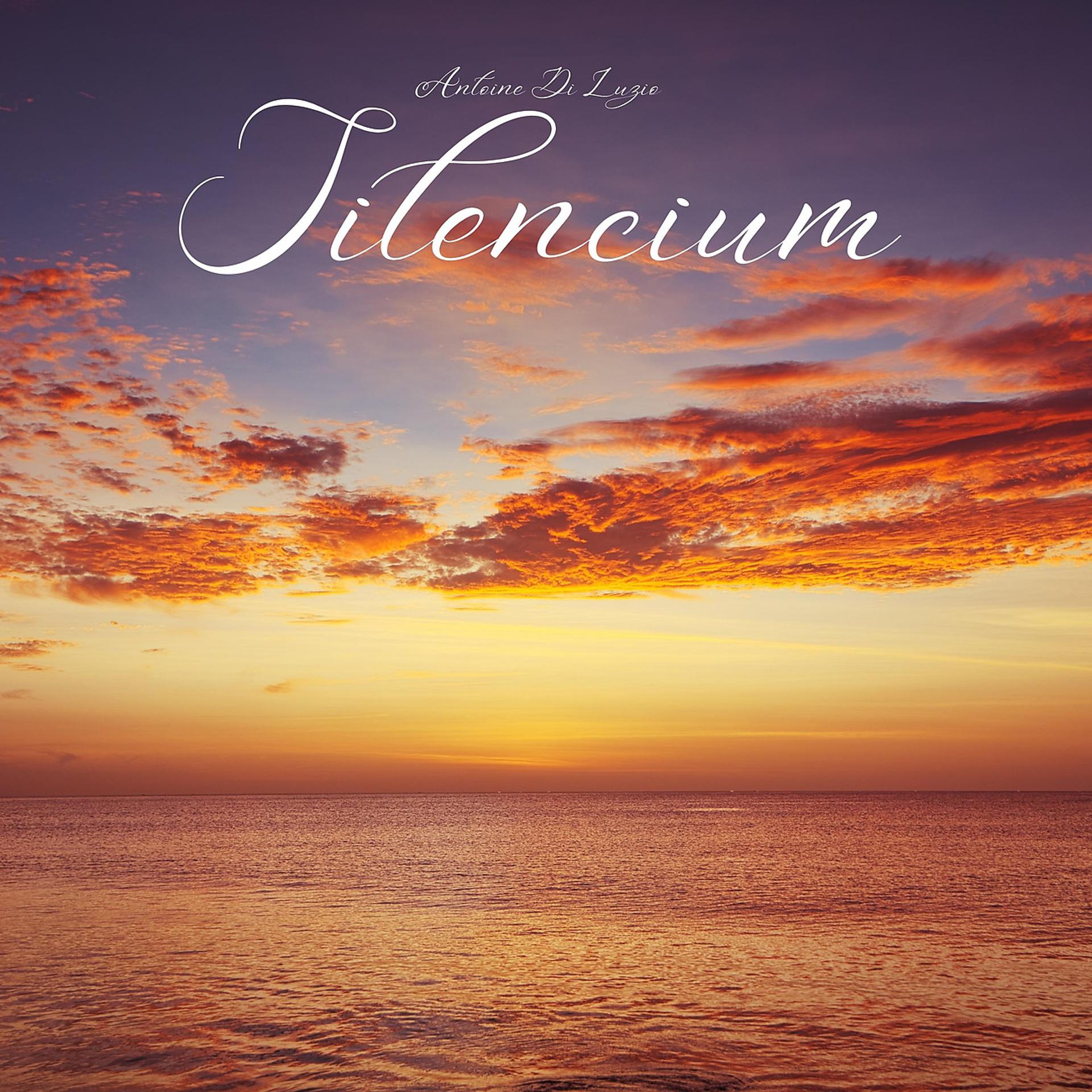 Постер альбома Silencium
