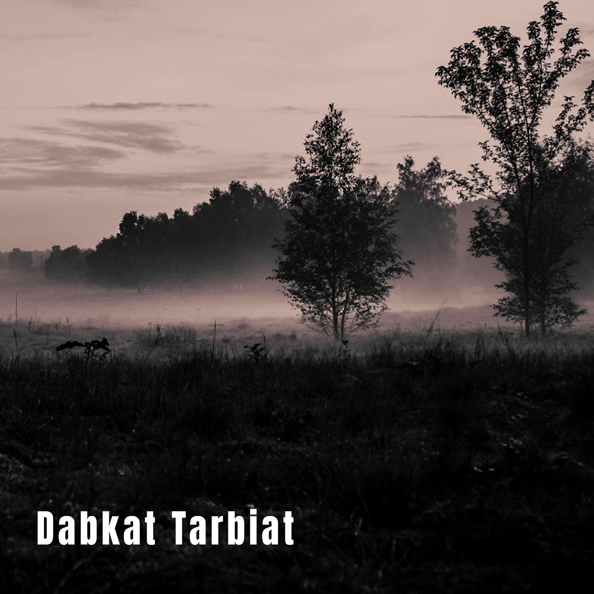 Постер альбома Dabkat Tarbiat