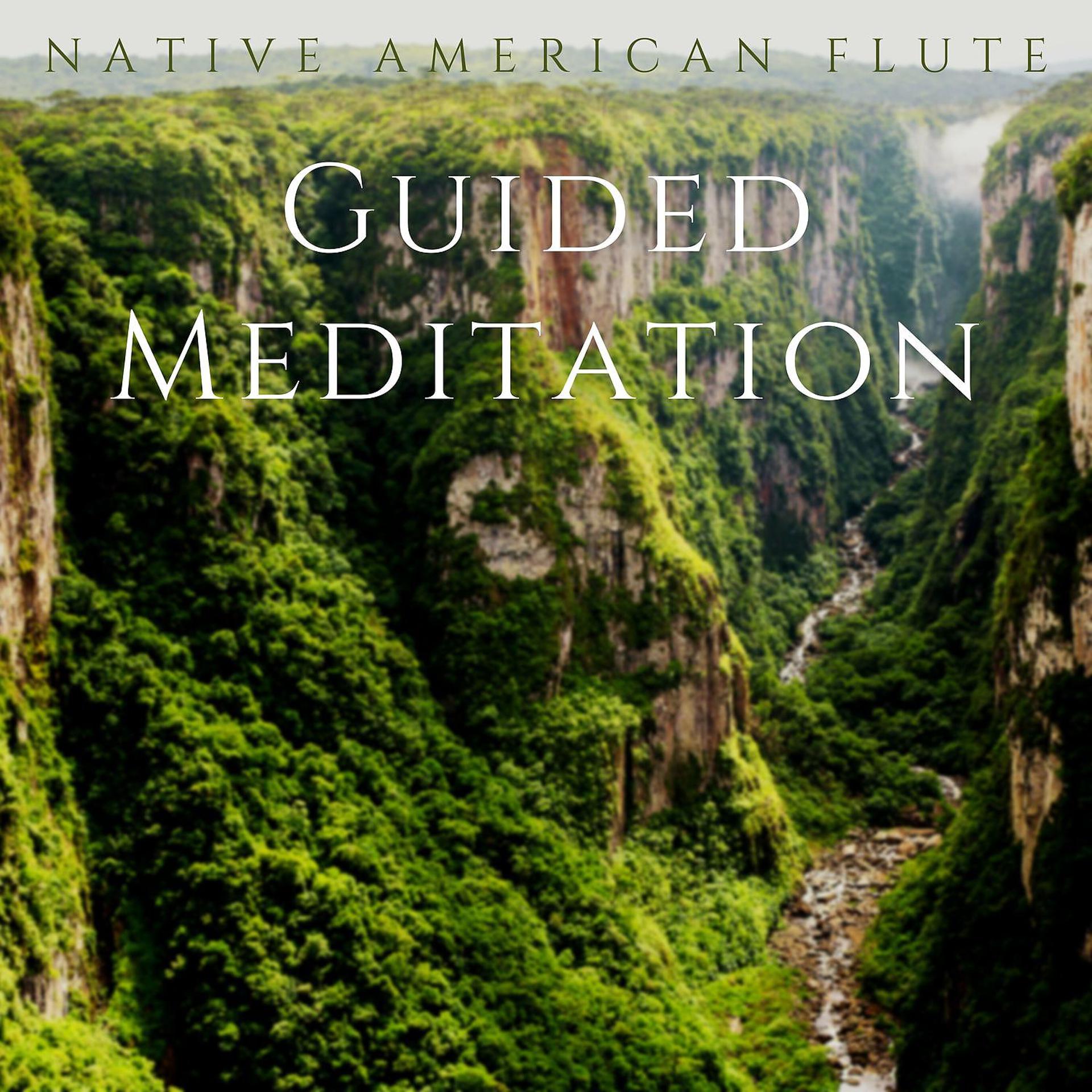 Постер альбома Guided Meditation