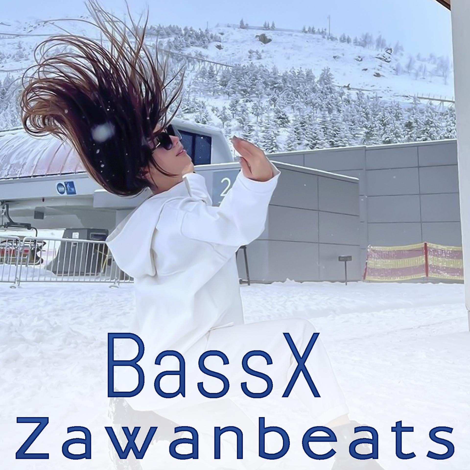 Постер альбома BassX