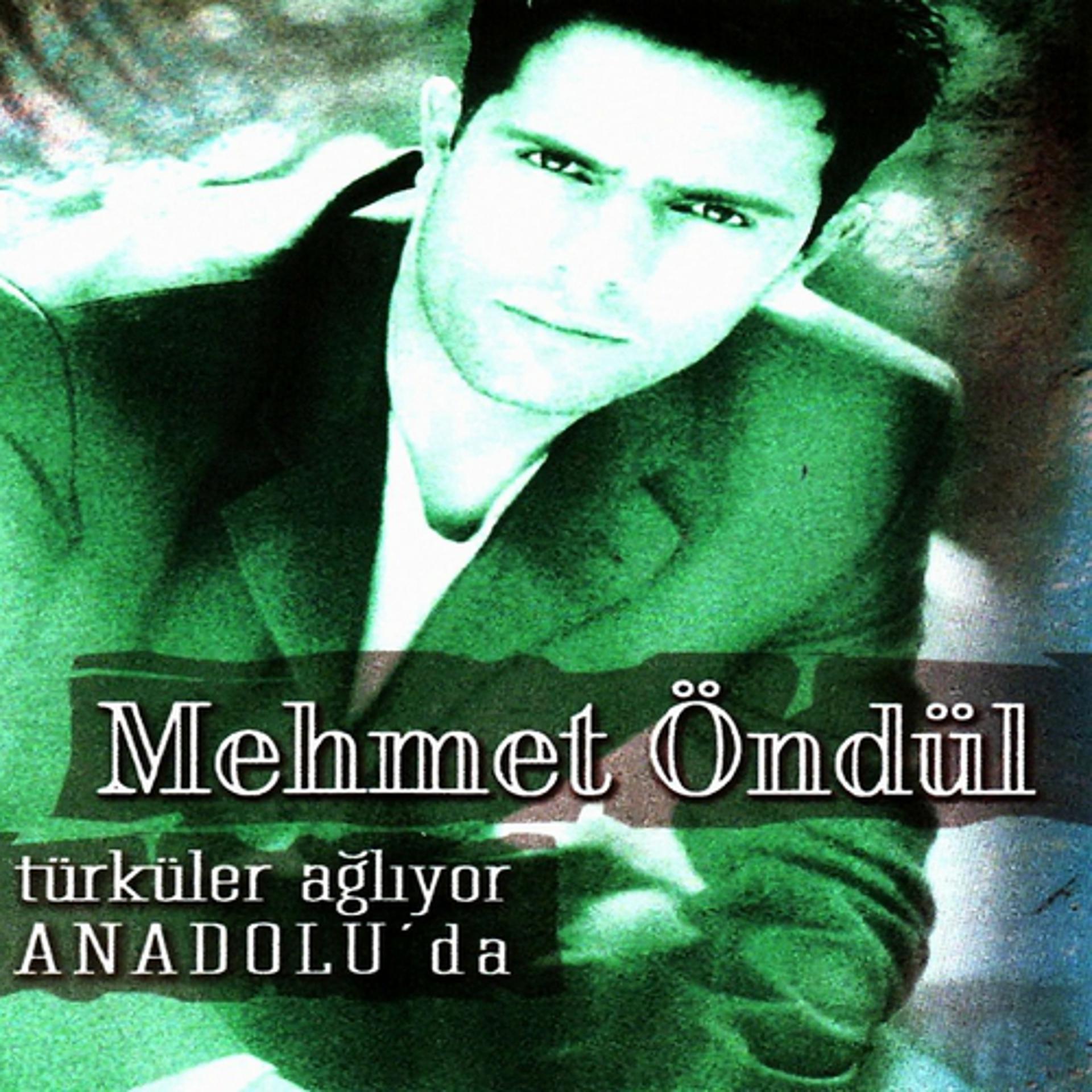 Постер альбома Türküler Ağlıyor Anadolu'da