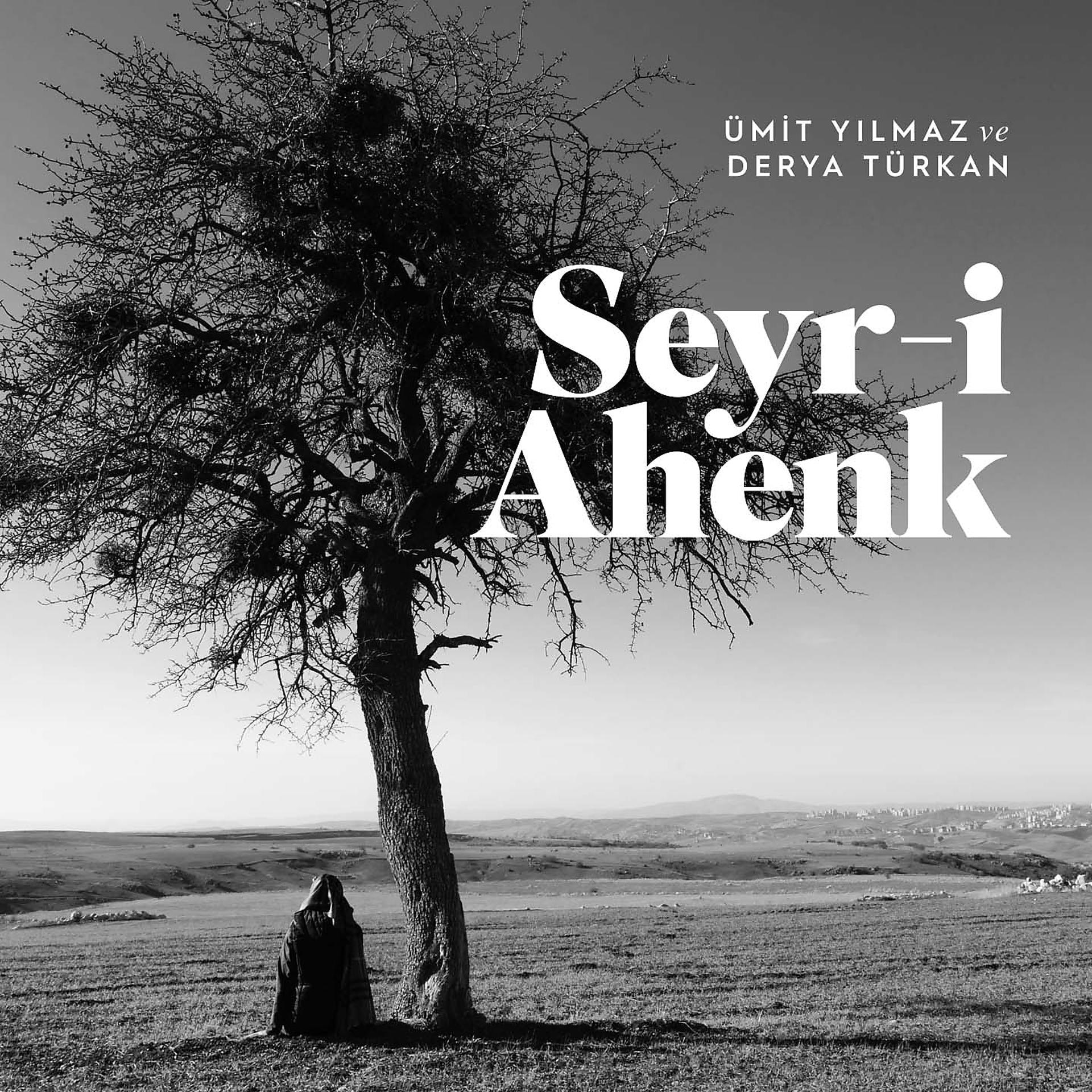 Постер альбома Seyr-i Ahenk